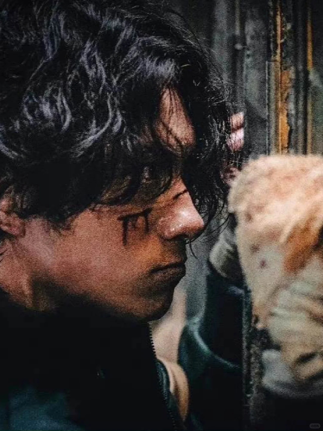 信一，看一个电影，爱上一个“坏男人！”