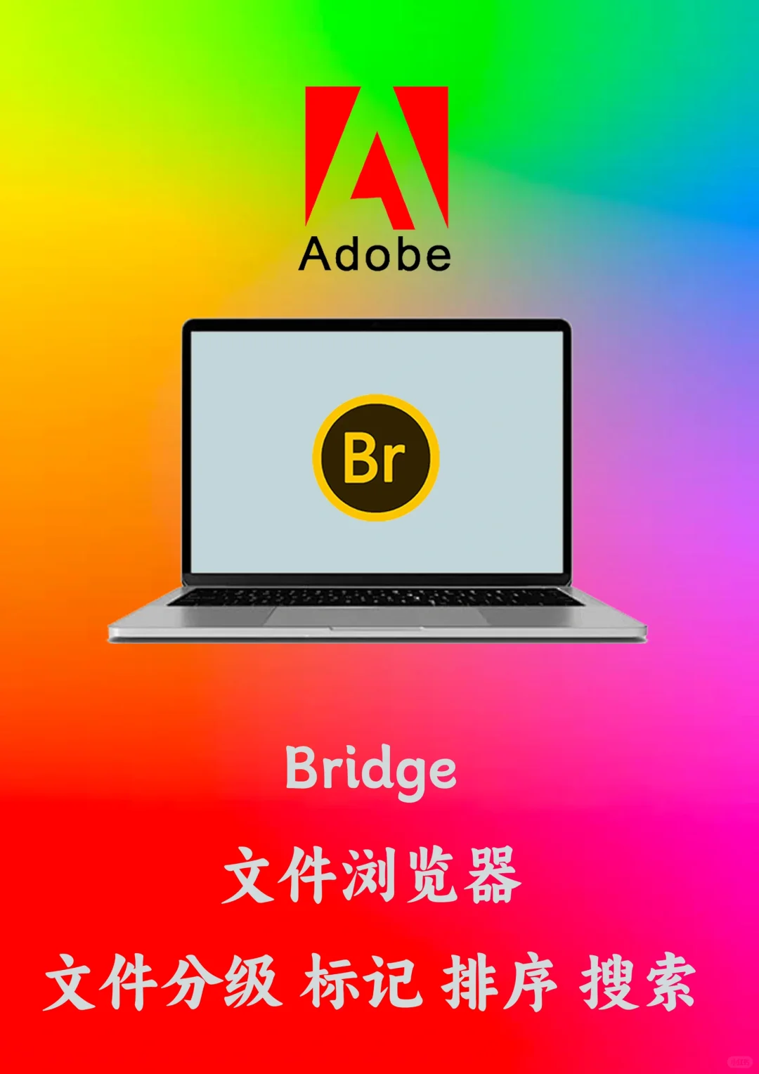 Adobe全家桶部分软件功能介绍