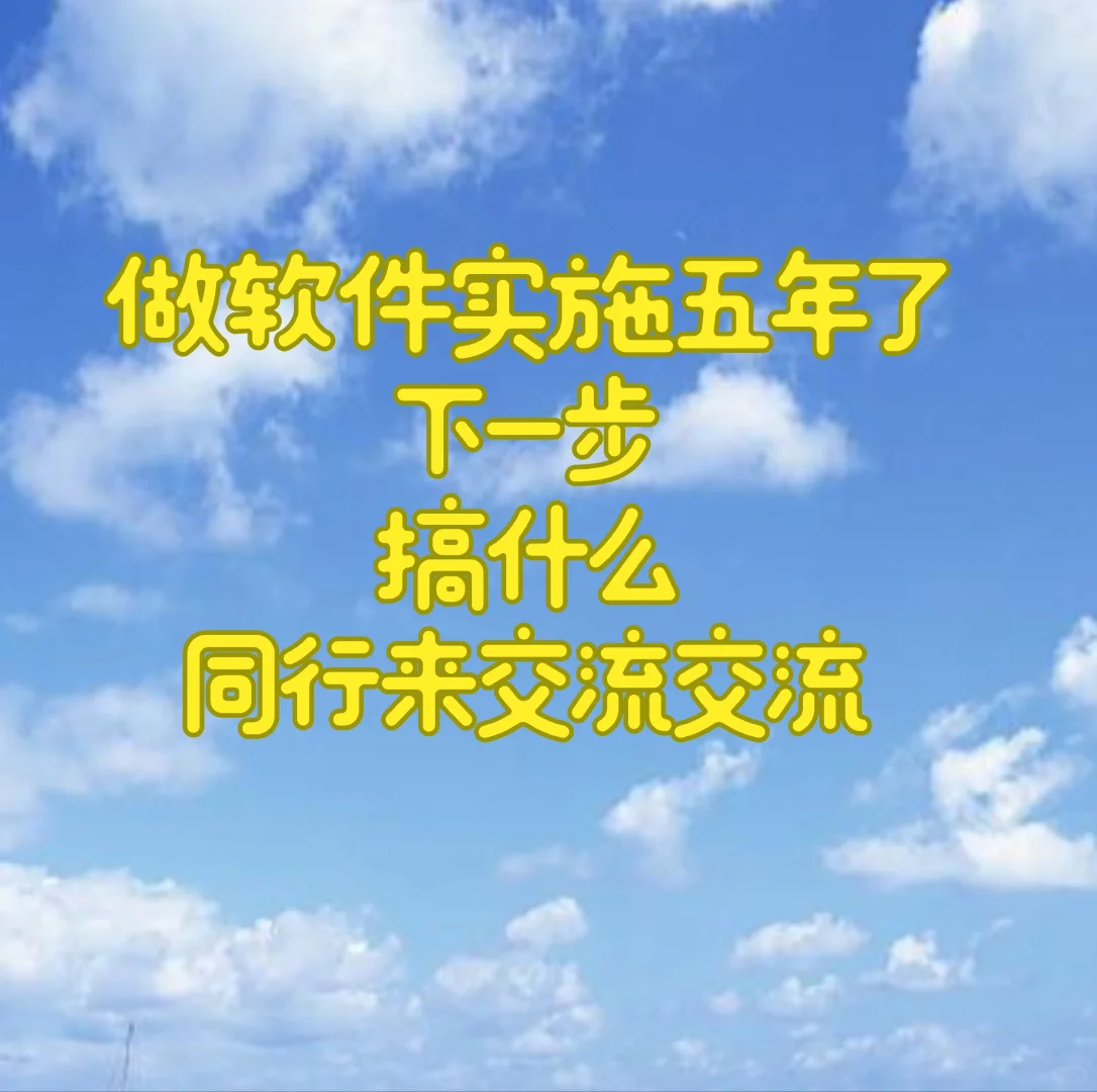 软件实施的第五个年头