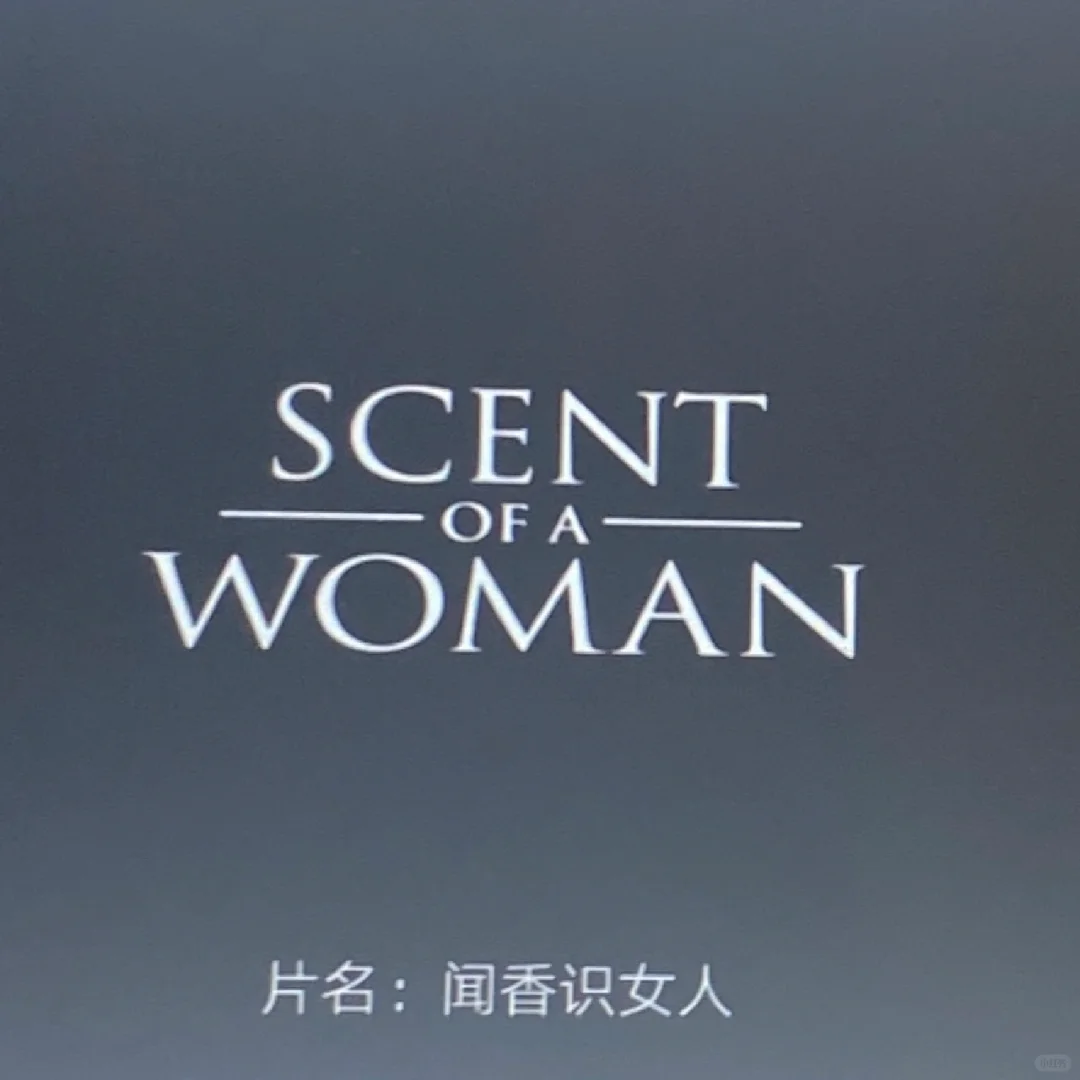 电影是最好的娱乐1.0🎬