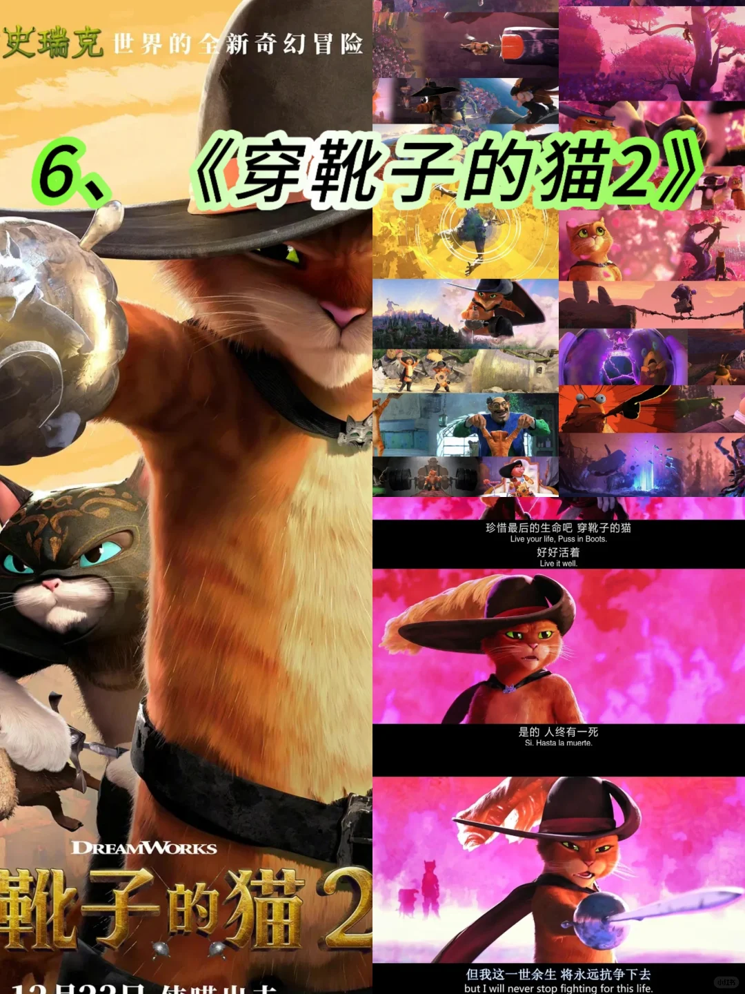 追剧日常，2023高分外国电影推荐！