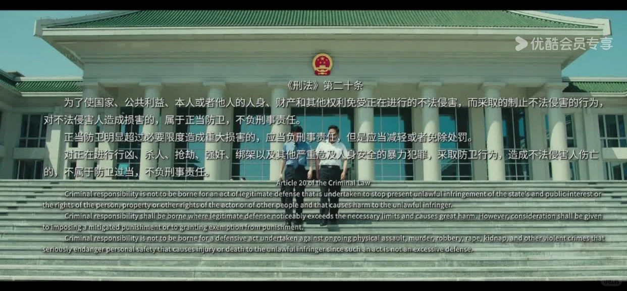 电影《第二十条》