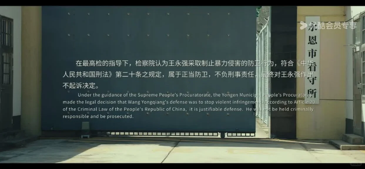 电影《第二十条》