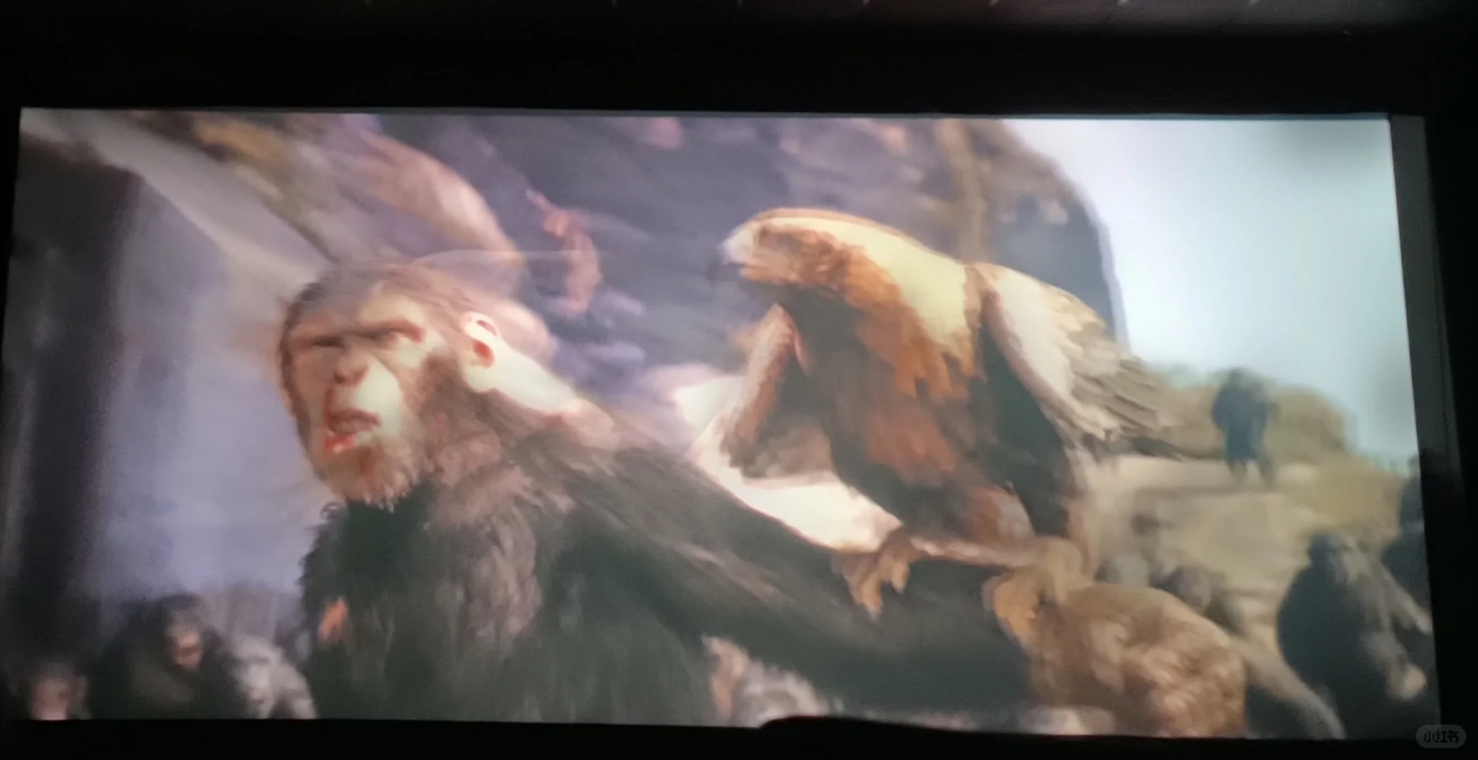 第一次一起看电影，结果，，，踩雷