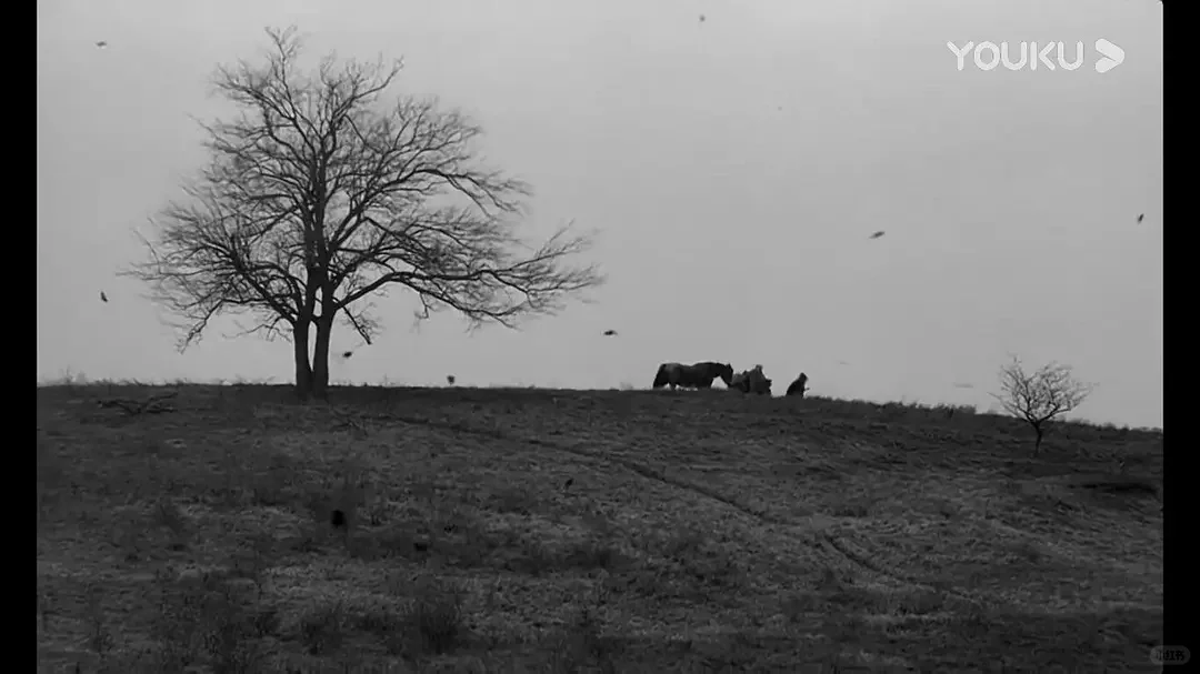 2011年的匈牙利电影《都灵之马》