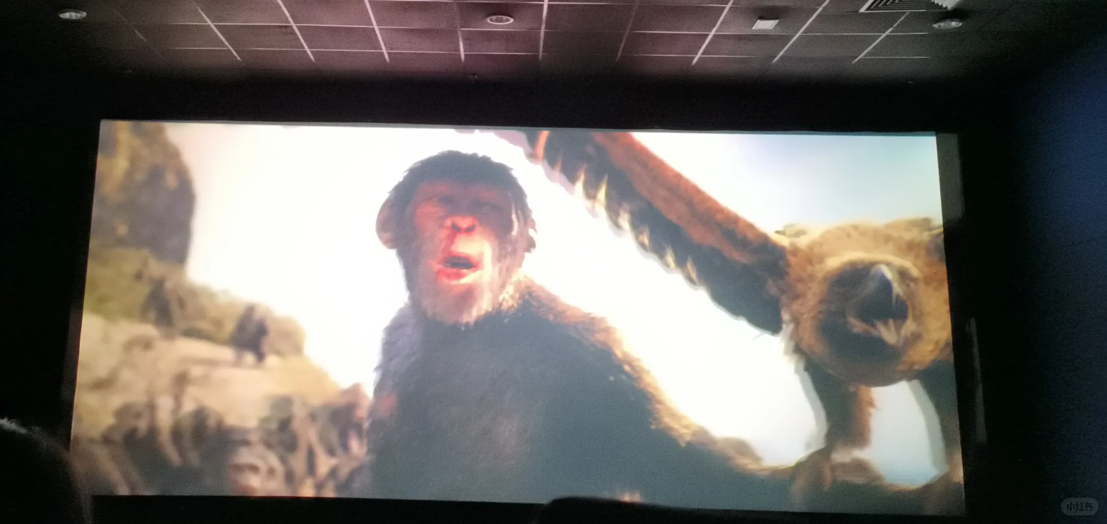 第一次一起看电影，结果，，，踩雷