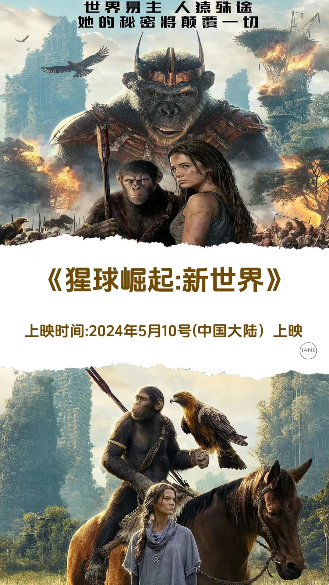 2024这10部超燃电影看过3部的算我输!