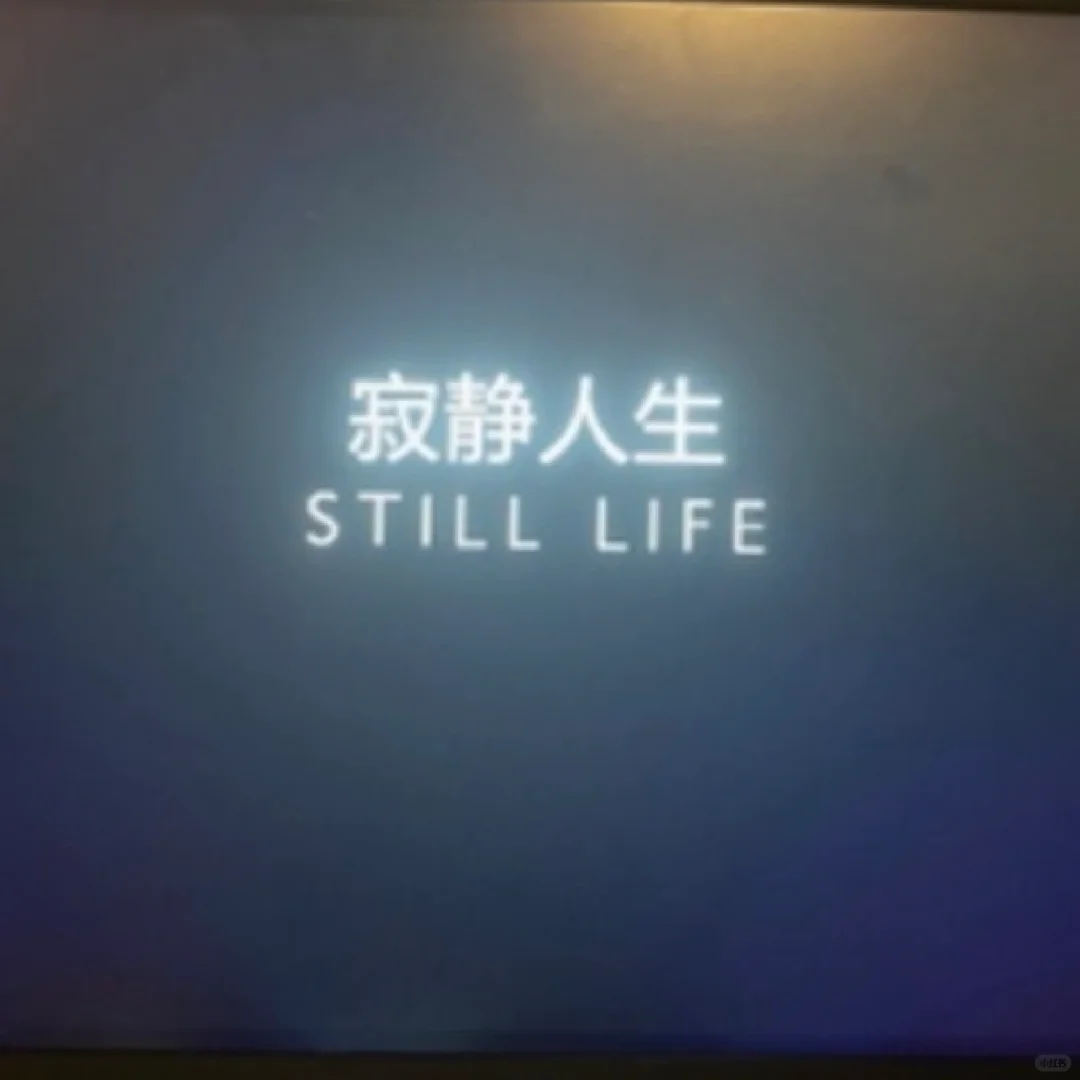 电影是最好的娱乐1.0🎬