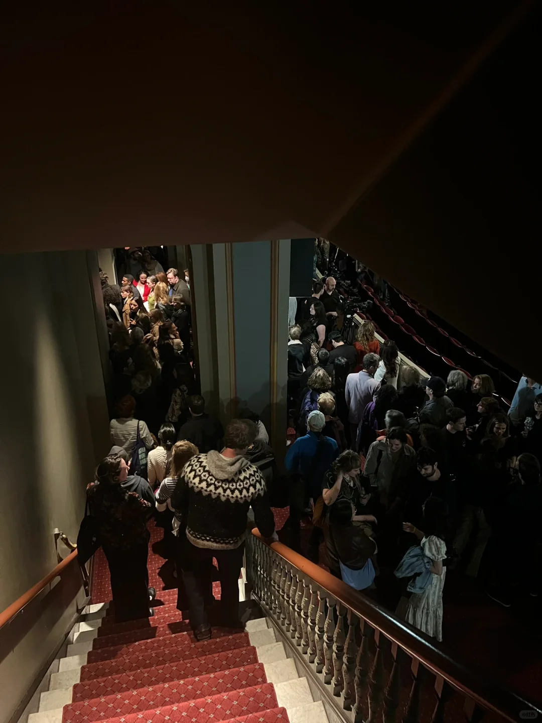 纽约周末：在自然历史博物馆看民族志电影