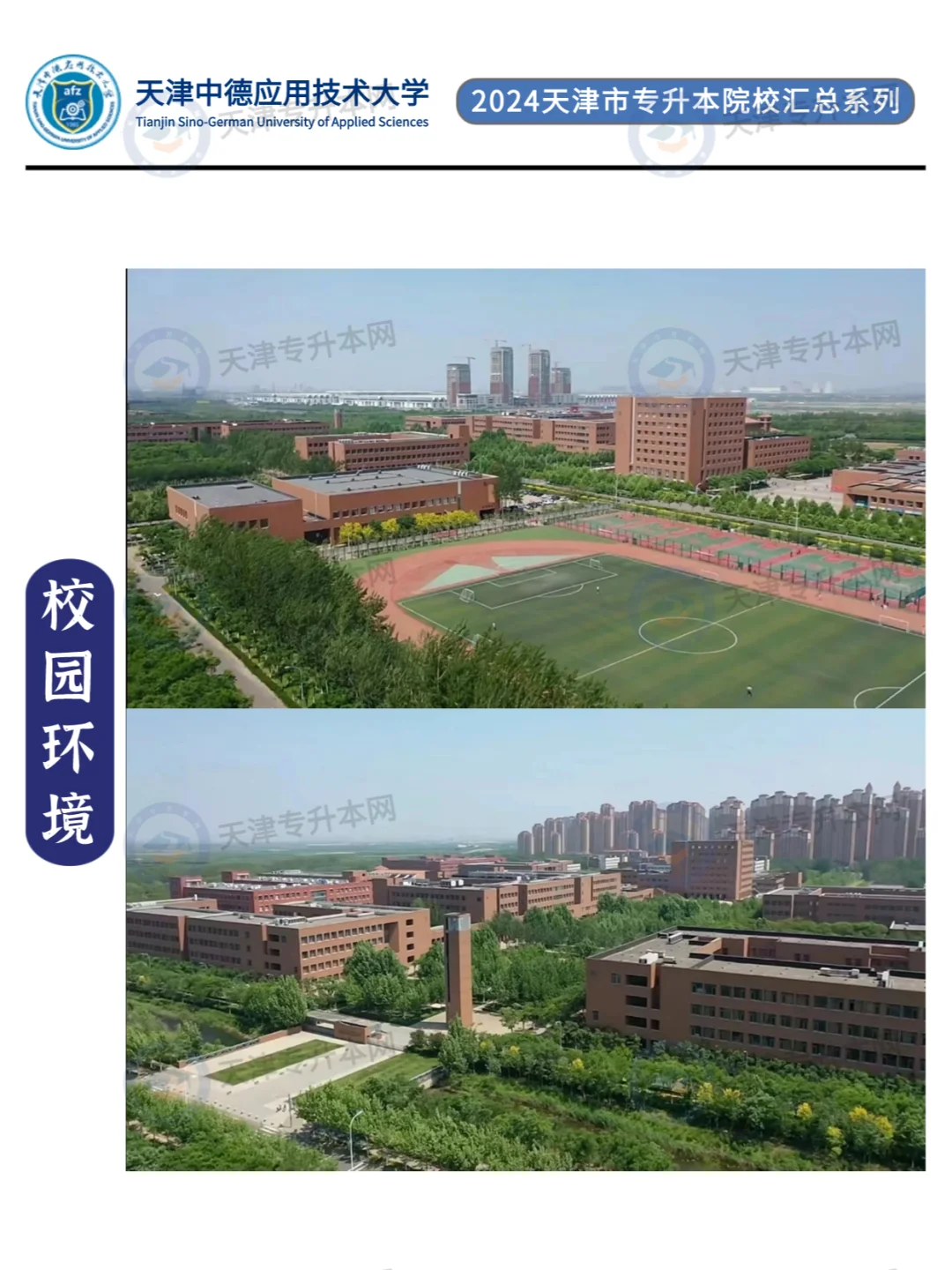 天津中德应用技术大学专升本考情汇总