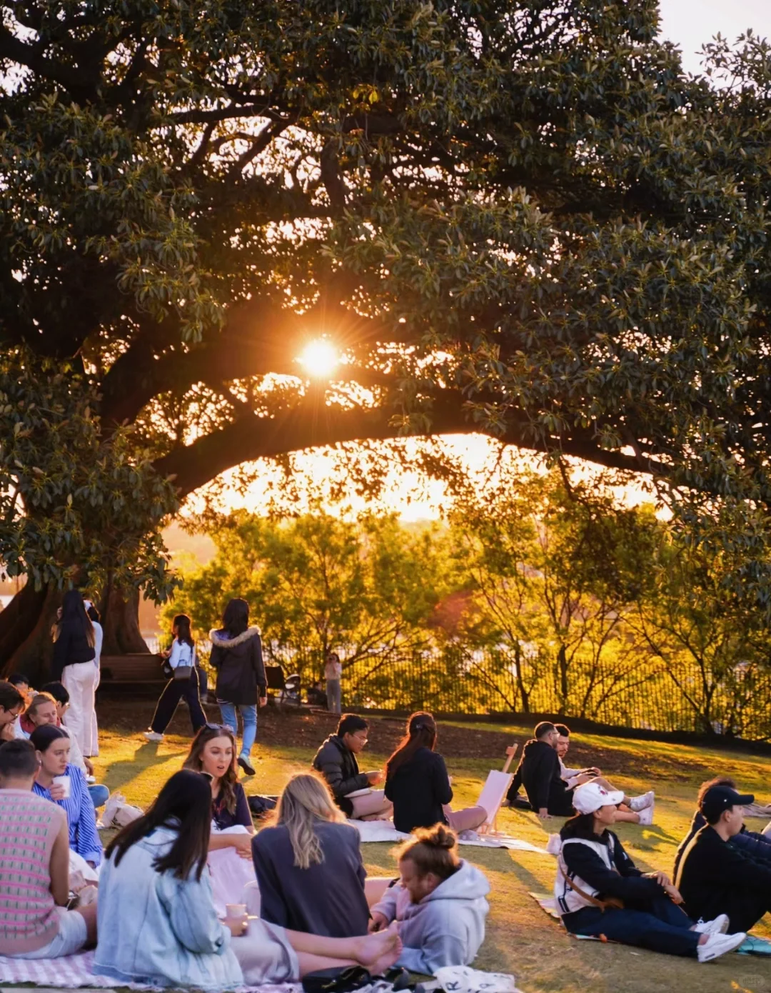 挖到宝啦!这是我见过最像富士相机的APP