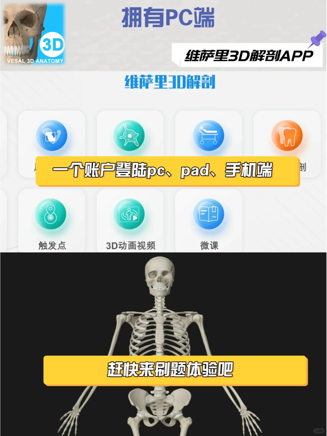 求求都用这款解剖软件去学习！