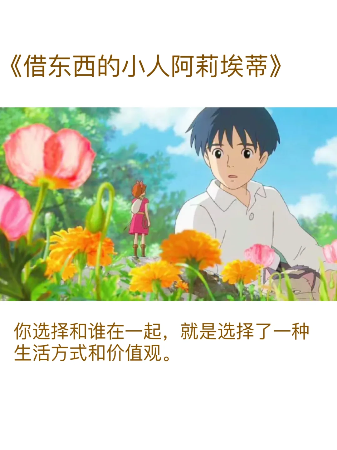 治愈系天花板🔥宫崎骏电影全集