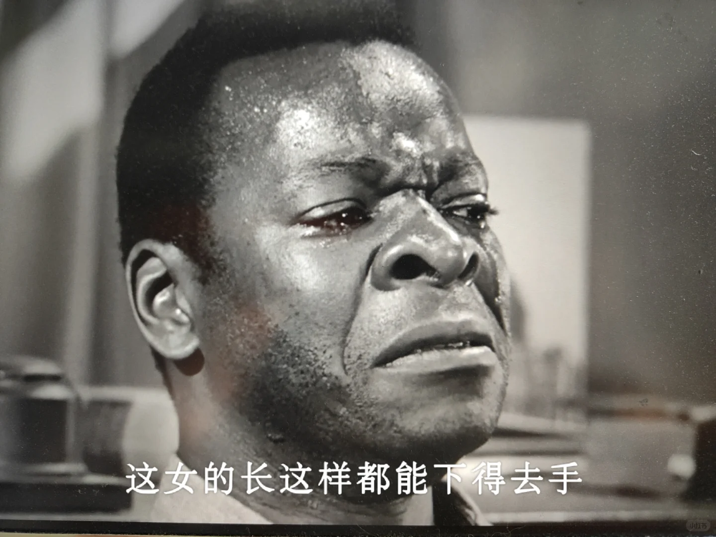 电影|杀死一只知更鸟(黑白)