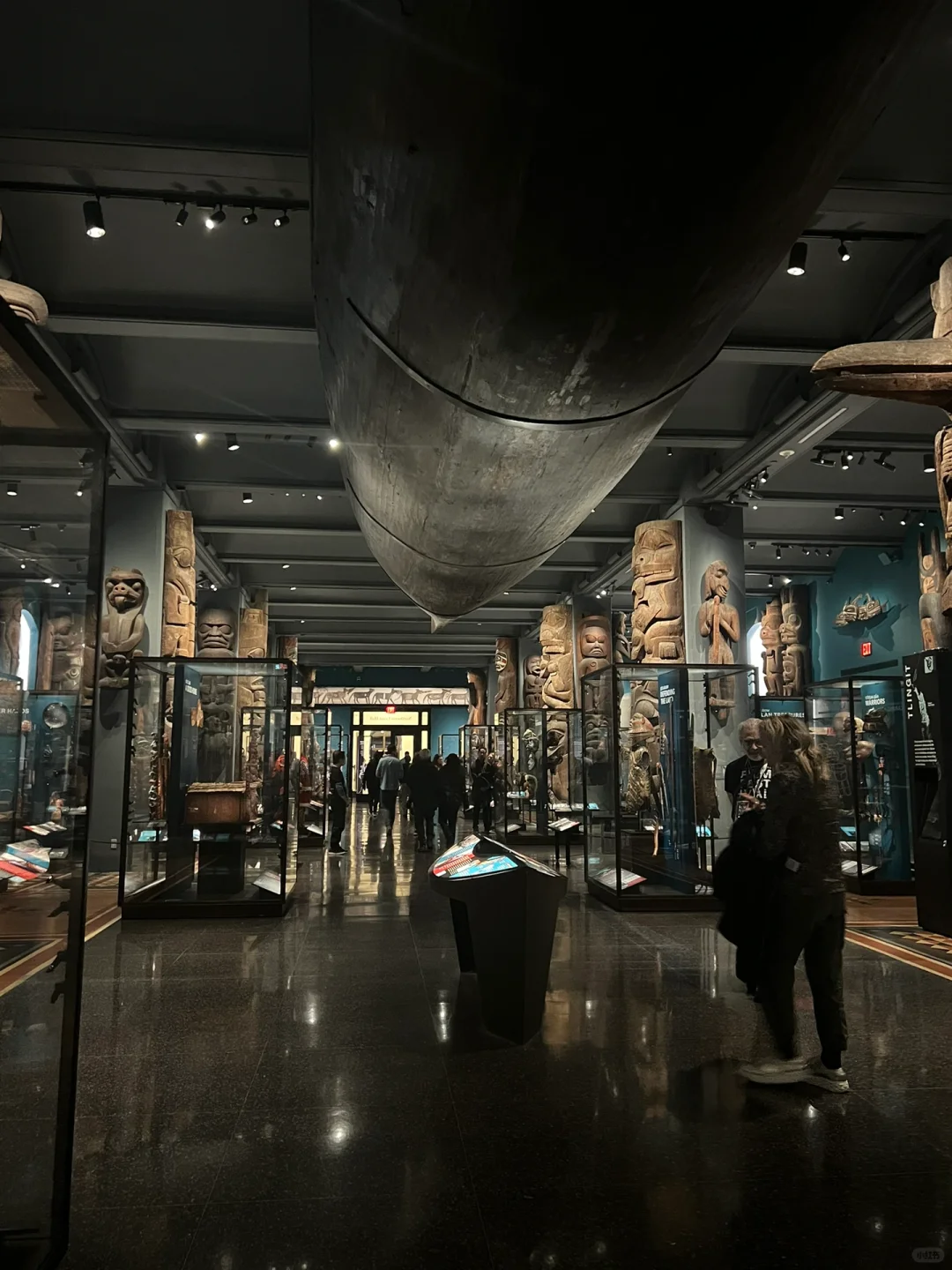 纽约周末：在自然历史博物馆看民族志电影