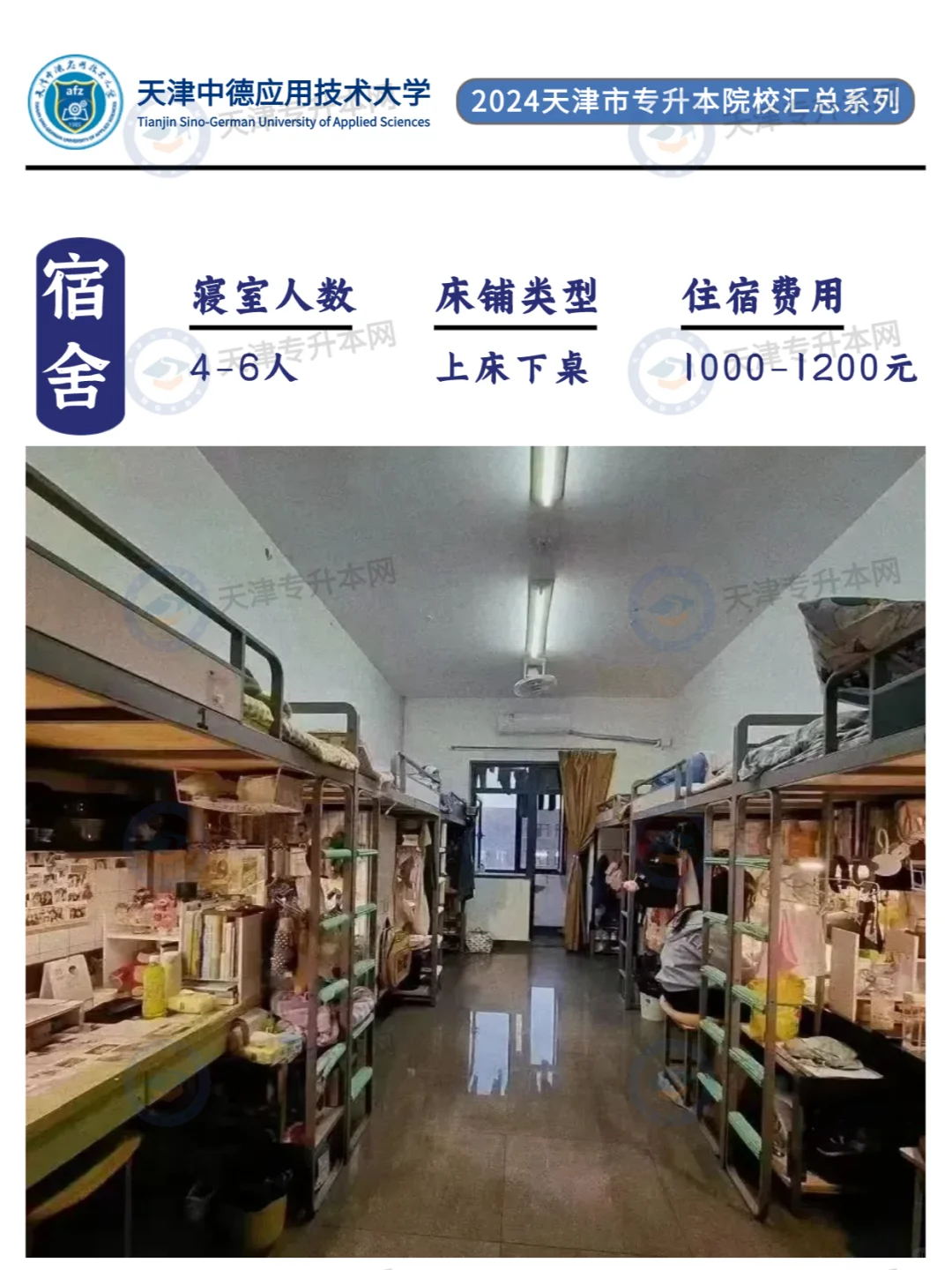 天津中德应用技术大学专升本考情汇总