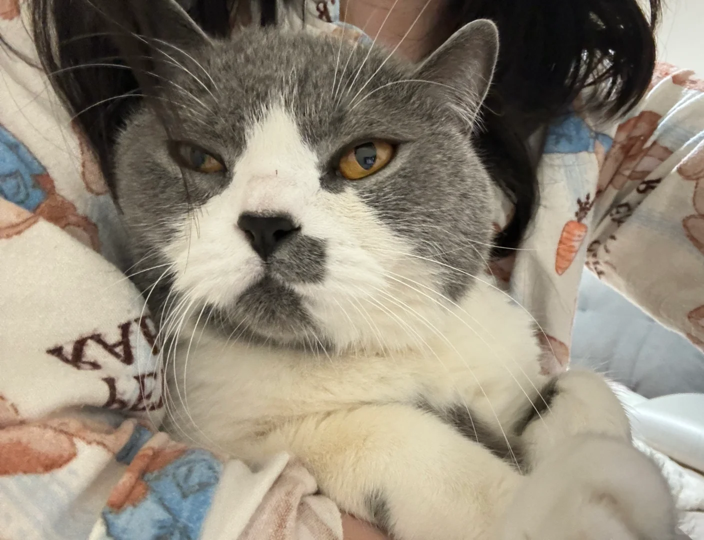 求问投影仪适配的盒子