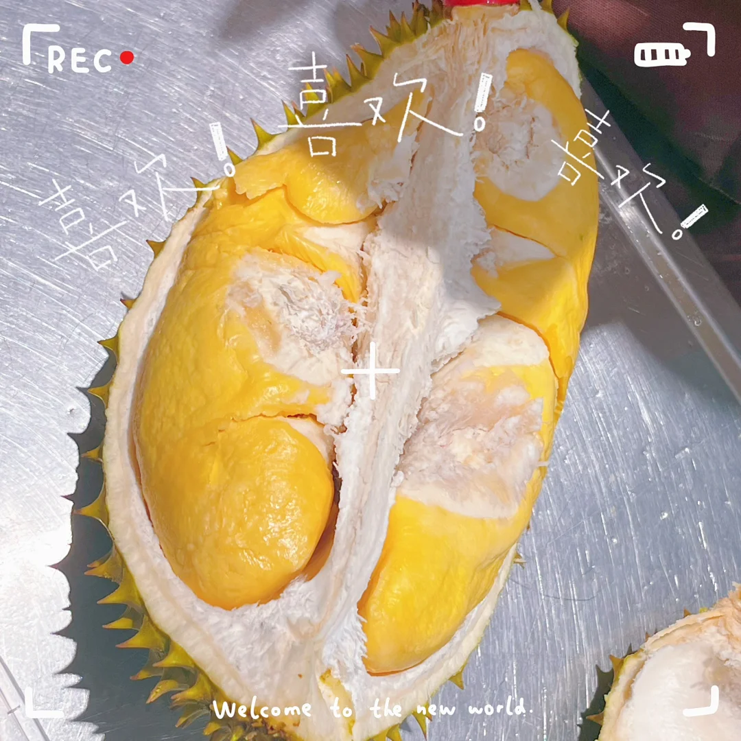 交出你们好用的小说app！