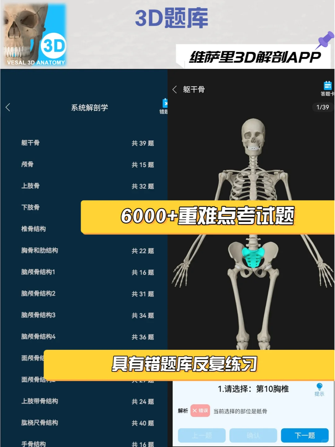 求求都用这款解剖软件去学习！