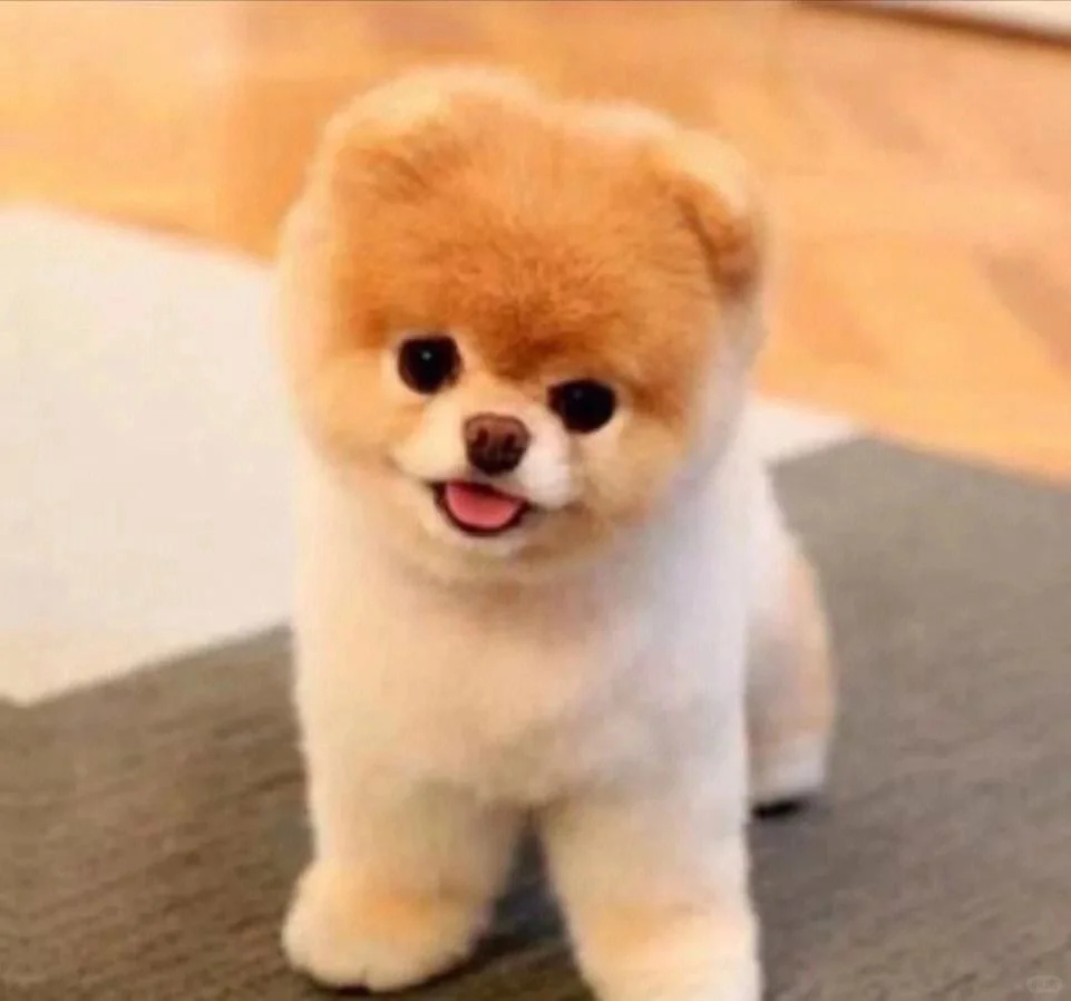 这个APP真的绝绝子！