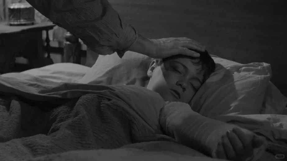 电影|杀死一只知更鸟(黑白)