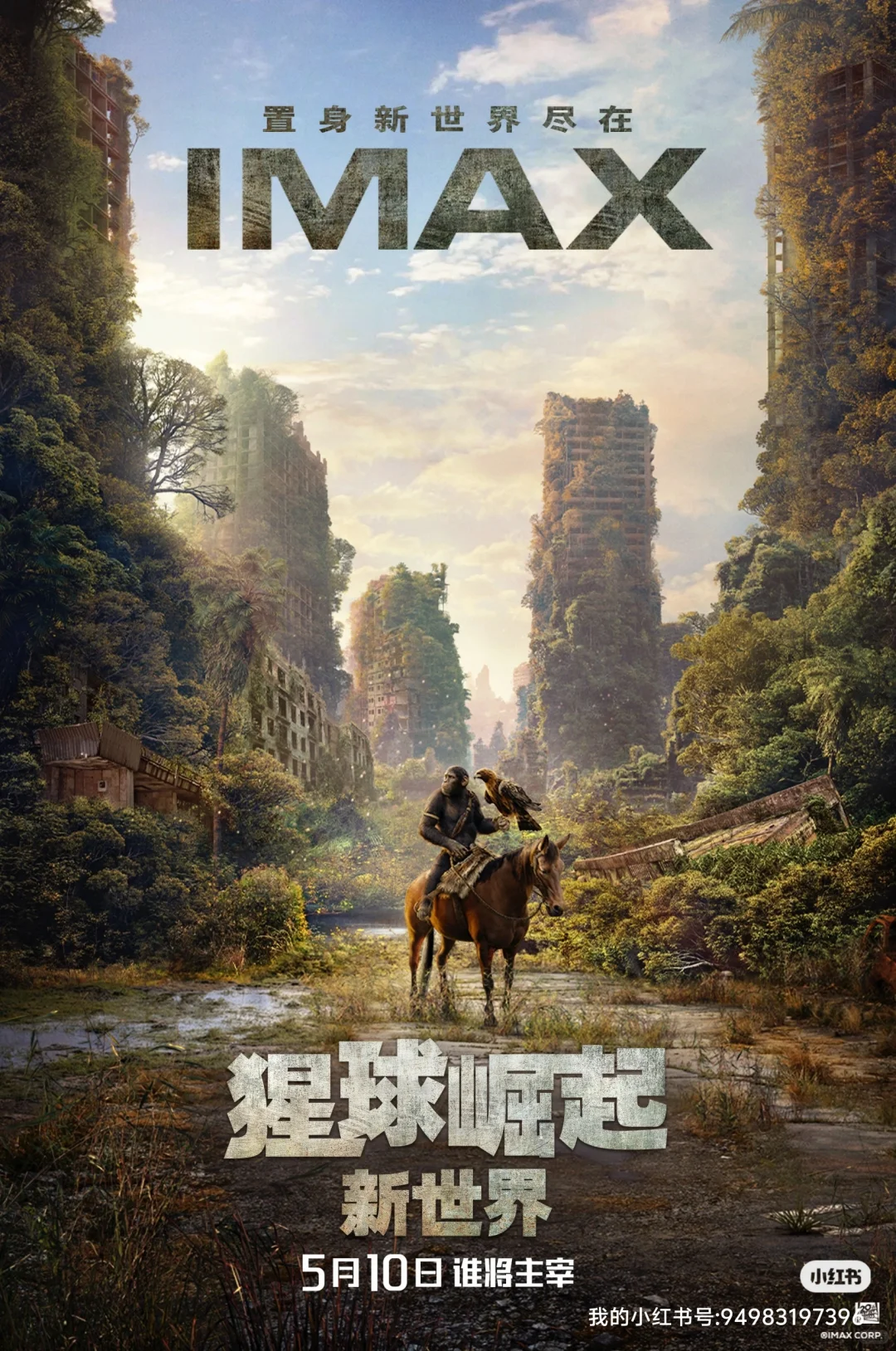 免费出两张电影优惠券-20