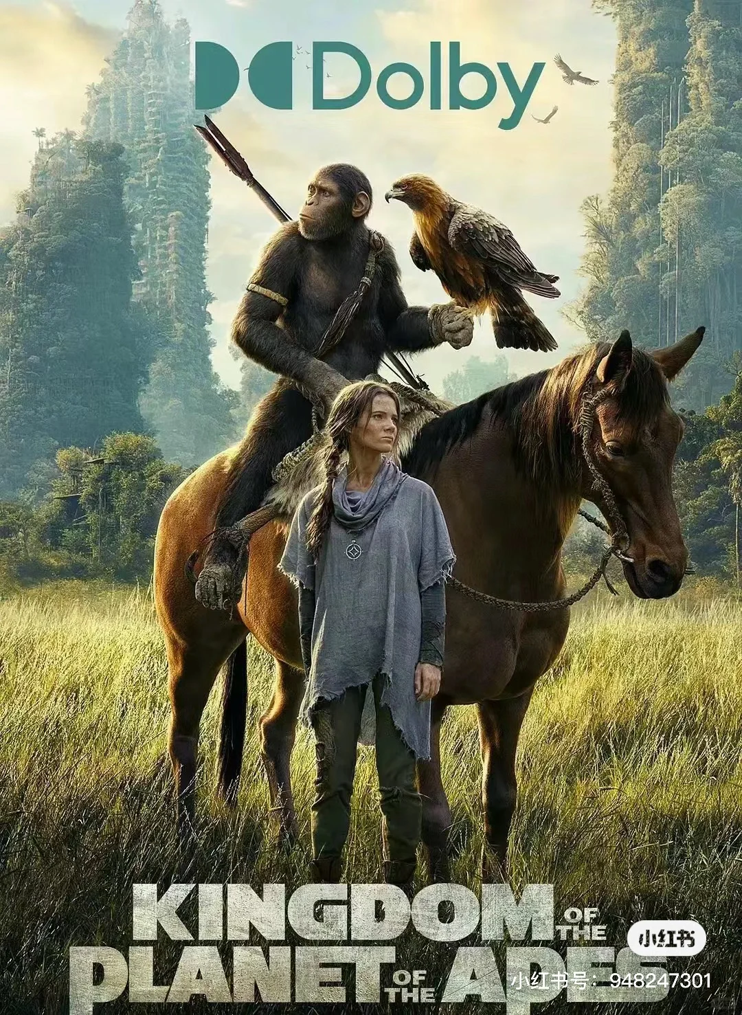 宁波约电影盲盒&新鲜快乐交友