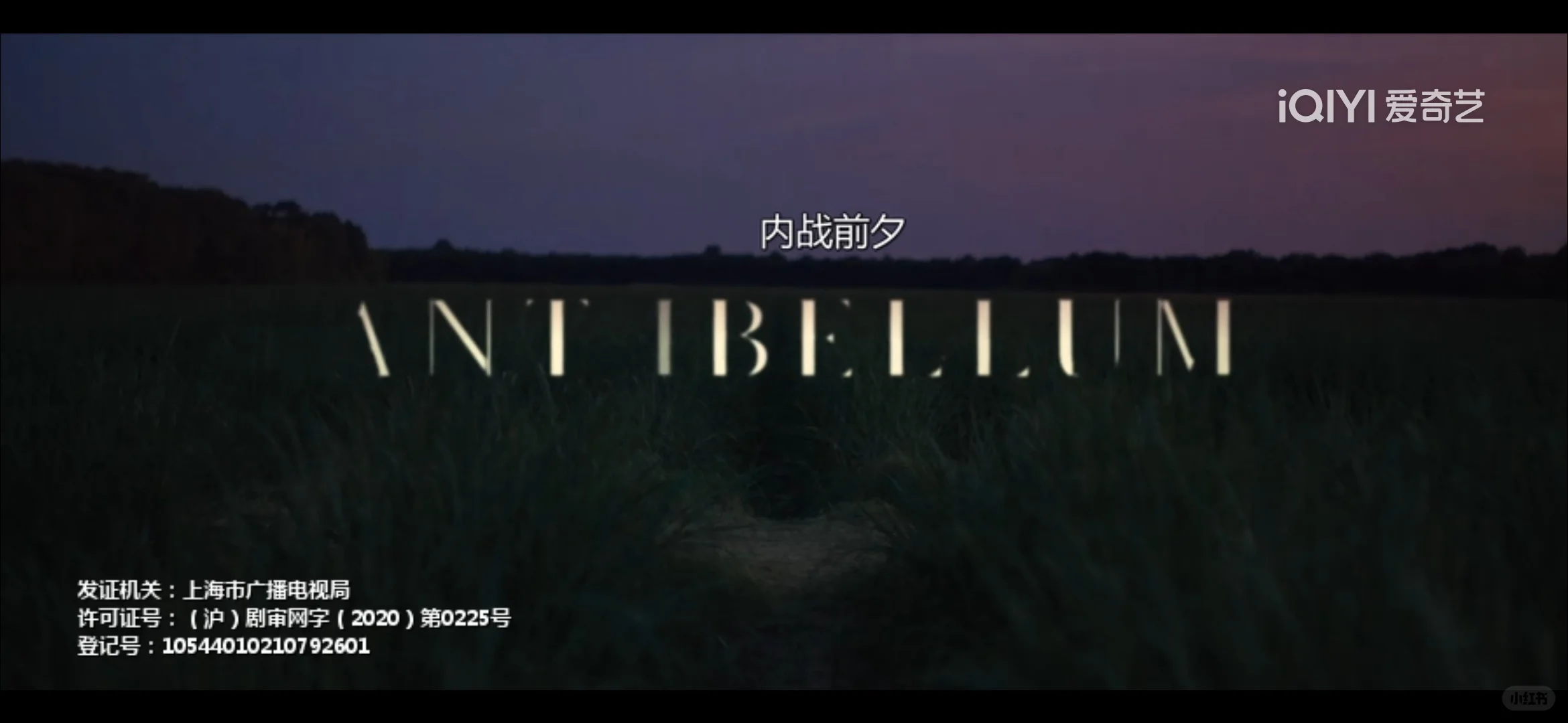 看布拉德.皮特在日本新干线上的精彩演技