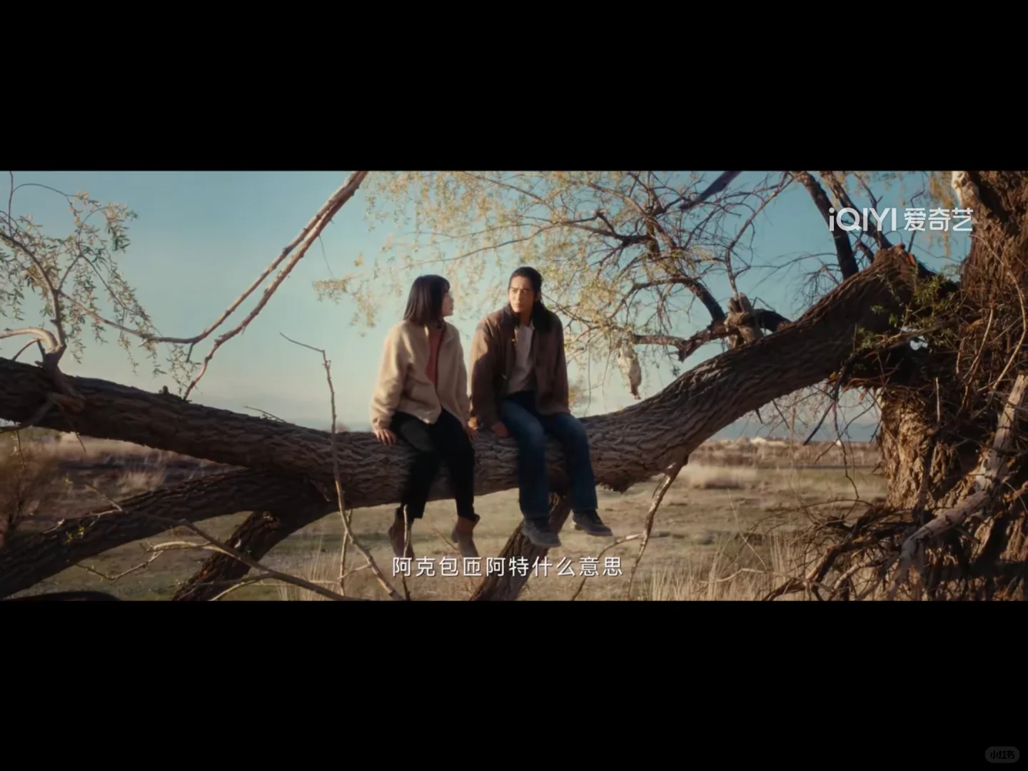 你爱上的男性角色 实质是女作家的灵魂