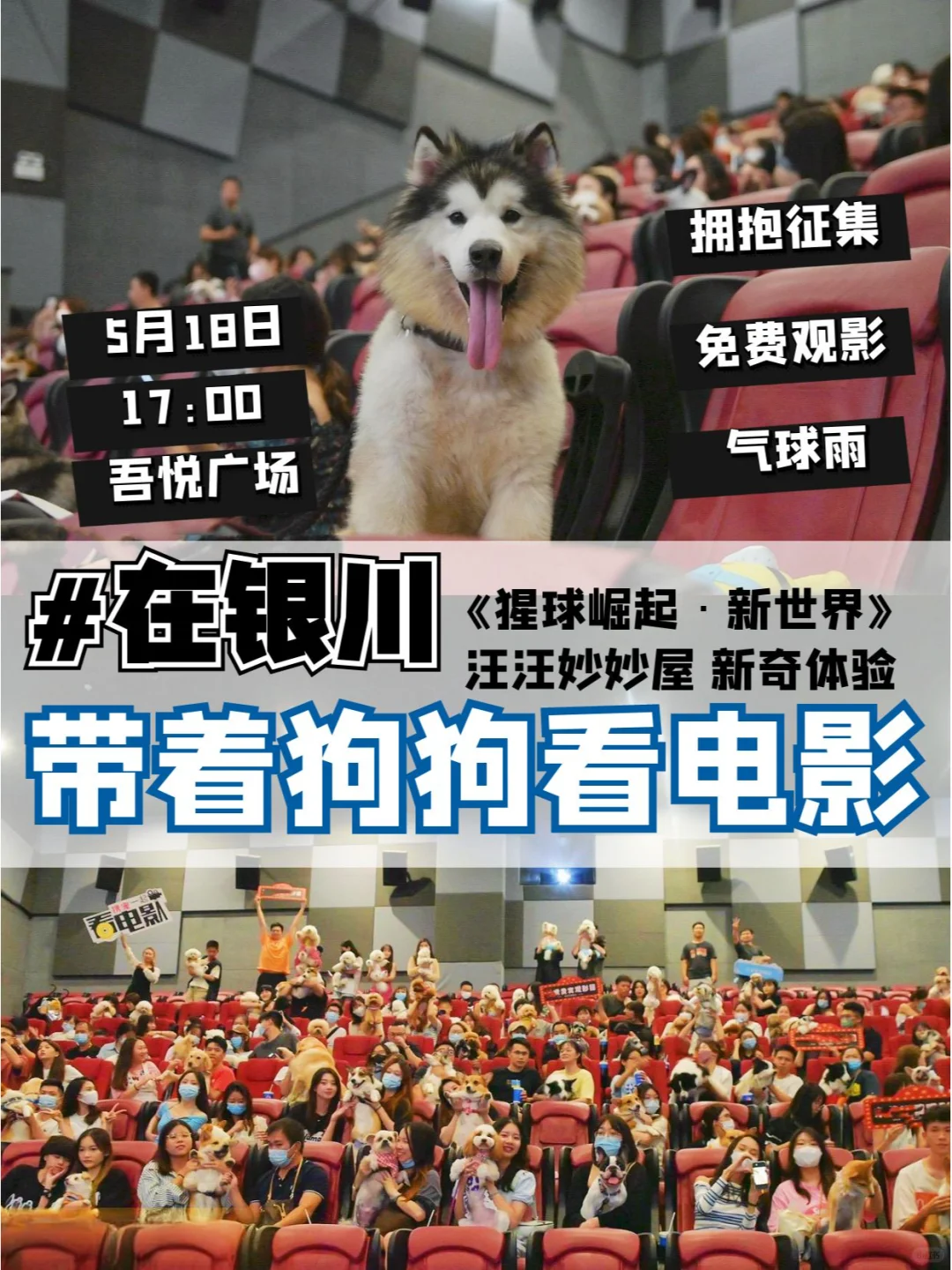 在银川带着狗狗看电影丨携宠免费看电影