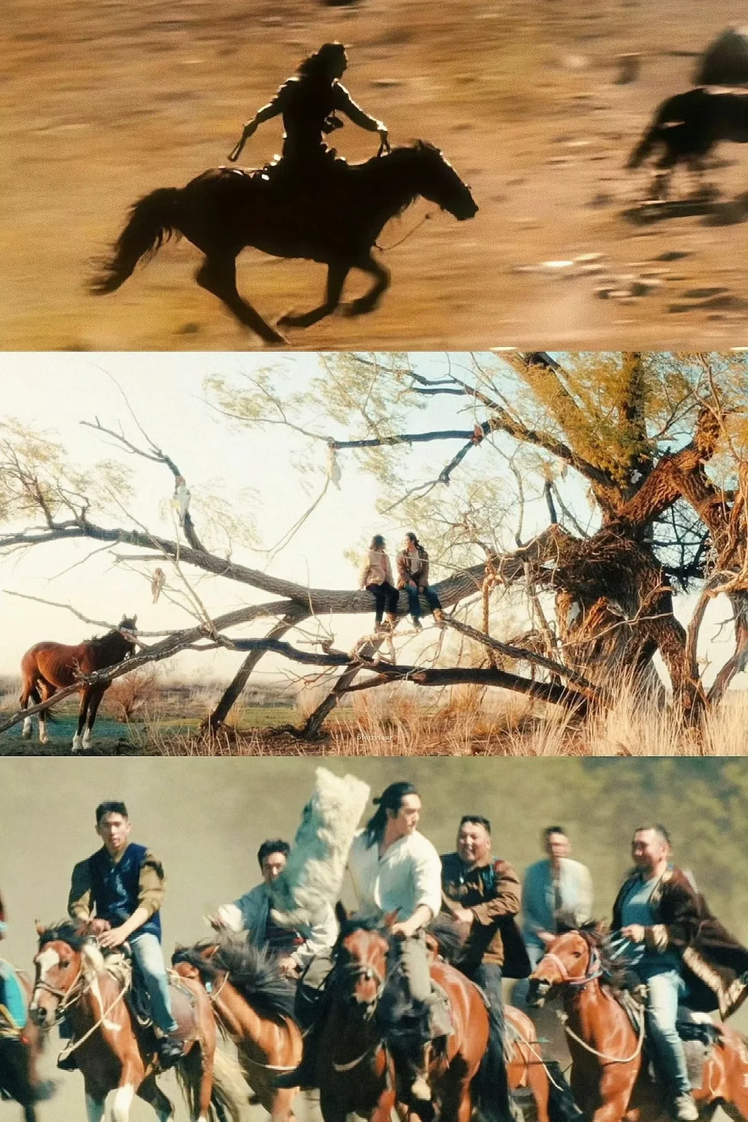 电影质感拉满的阿勒泰‼️每一帧都美的像壁纸