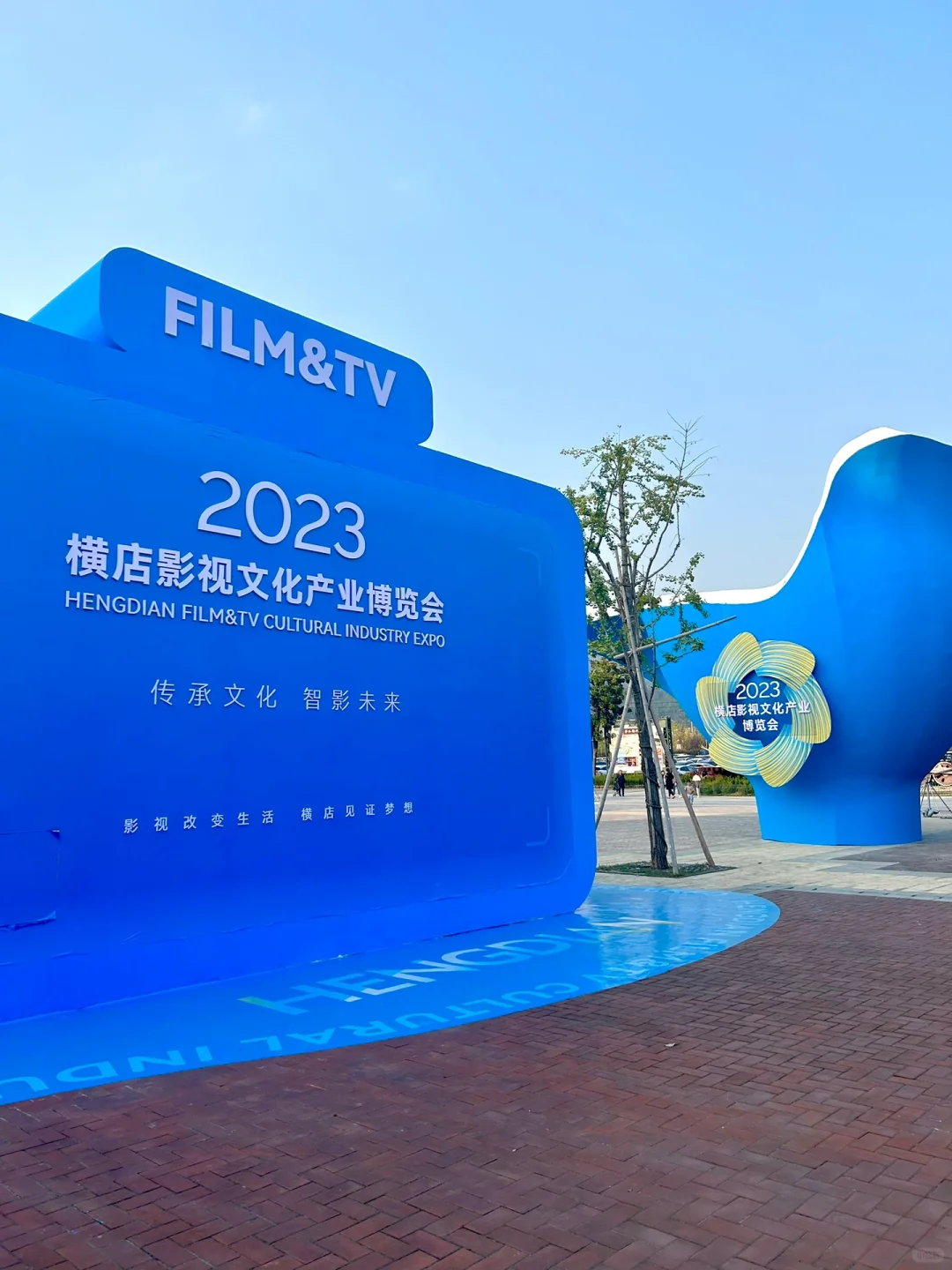 「电影节」这个节应该怎么过？📽️