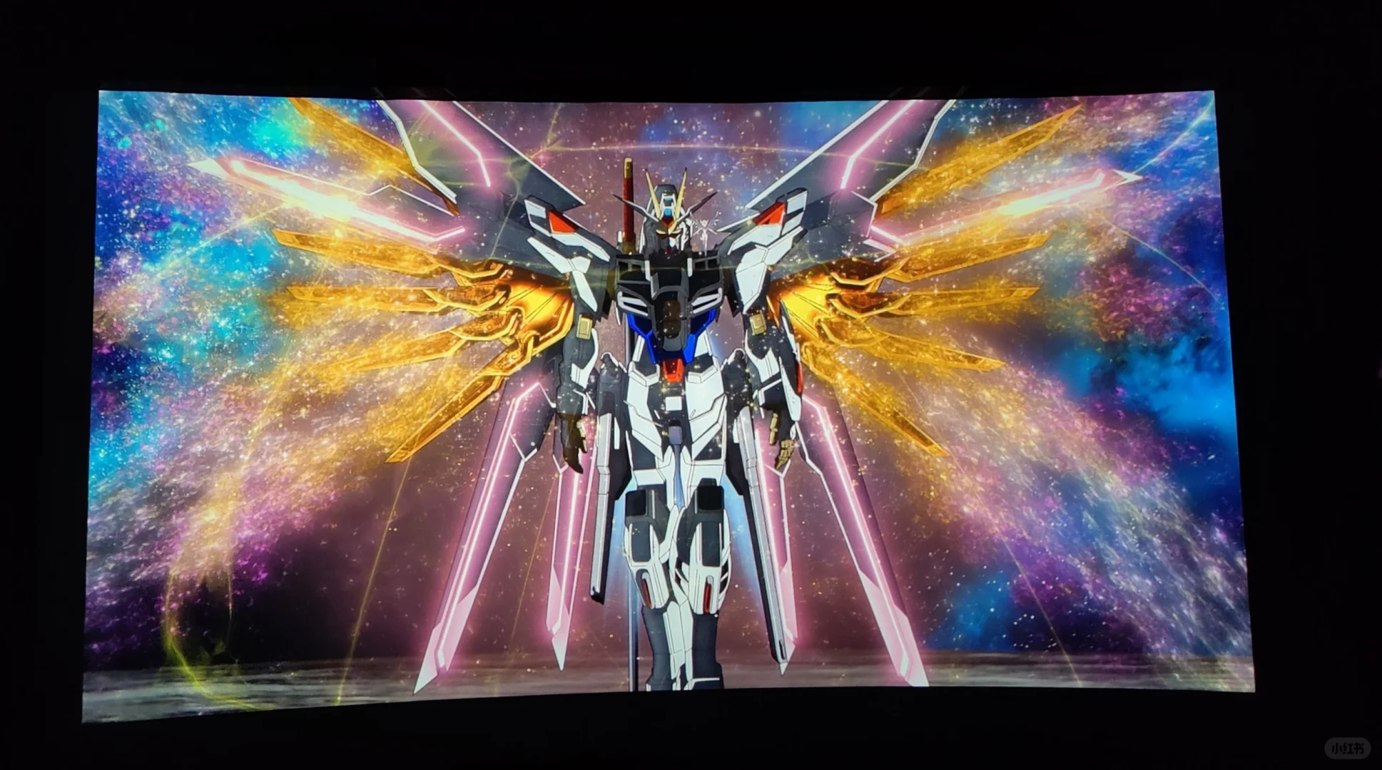 猛男粉的Freedom是最强的!