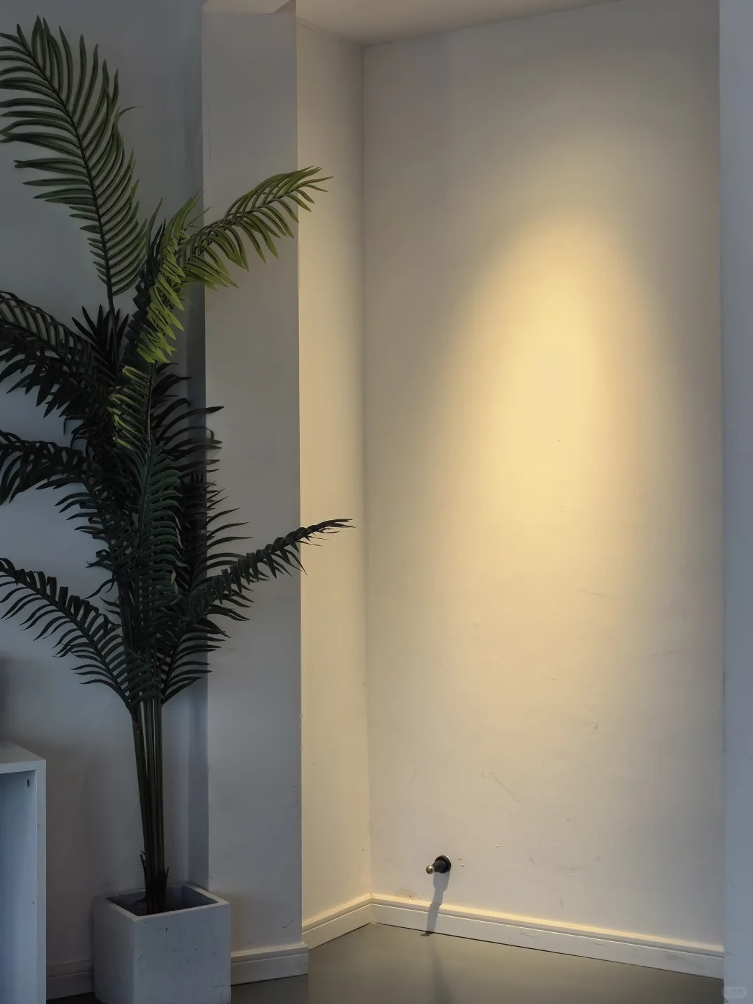 四点多的凌晨电影，能有多刺激 ！