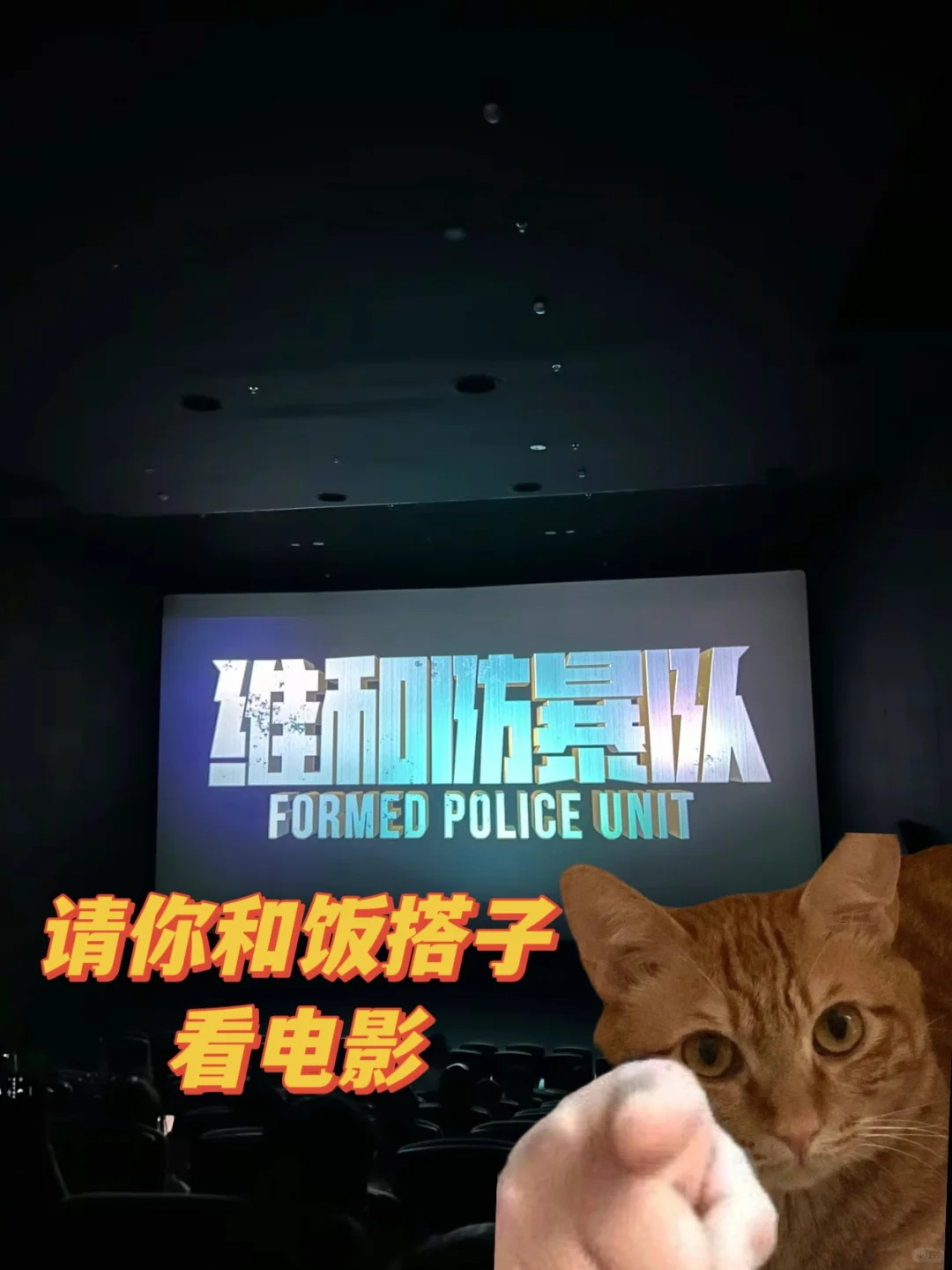 请你和饭搭子看电影🎞️