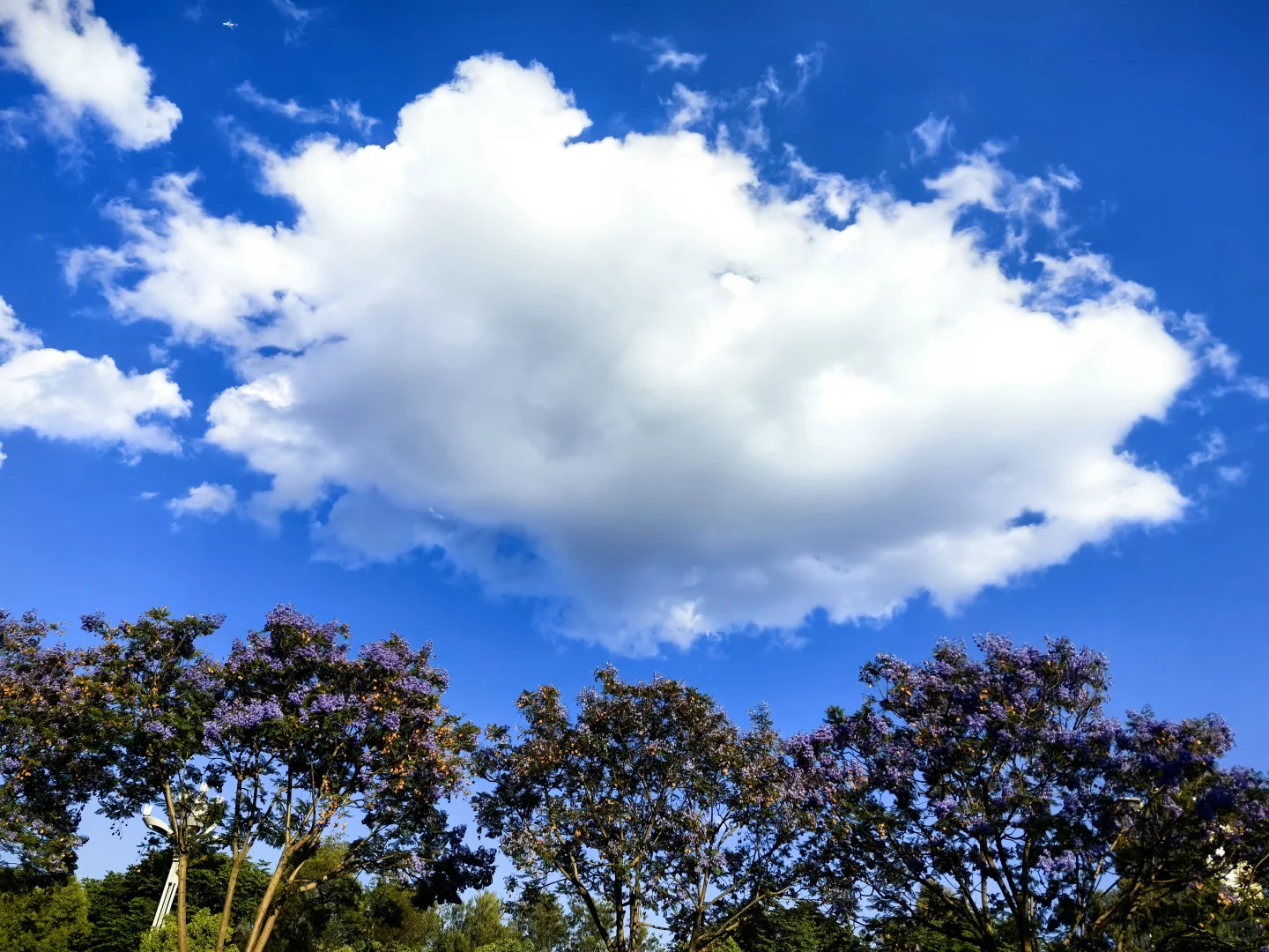 苏菲真的很乐观，坚强，善良
