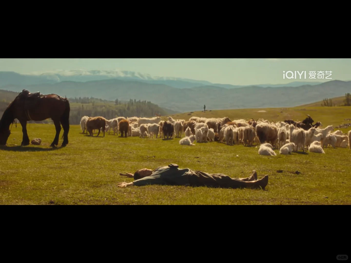 你爱上的男性角色 实质是女作家的灵魂