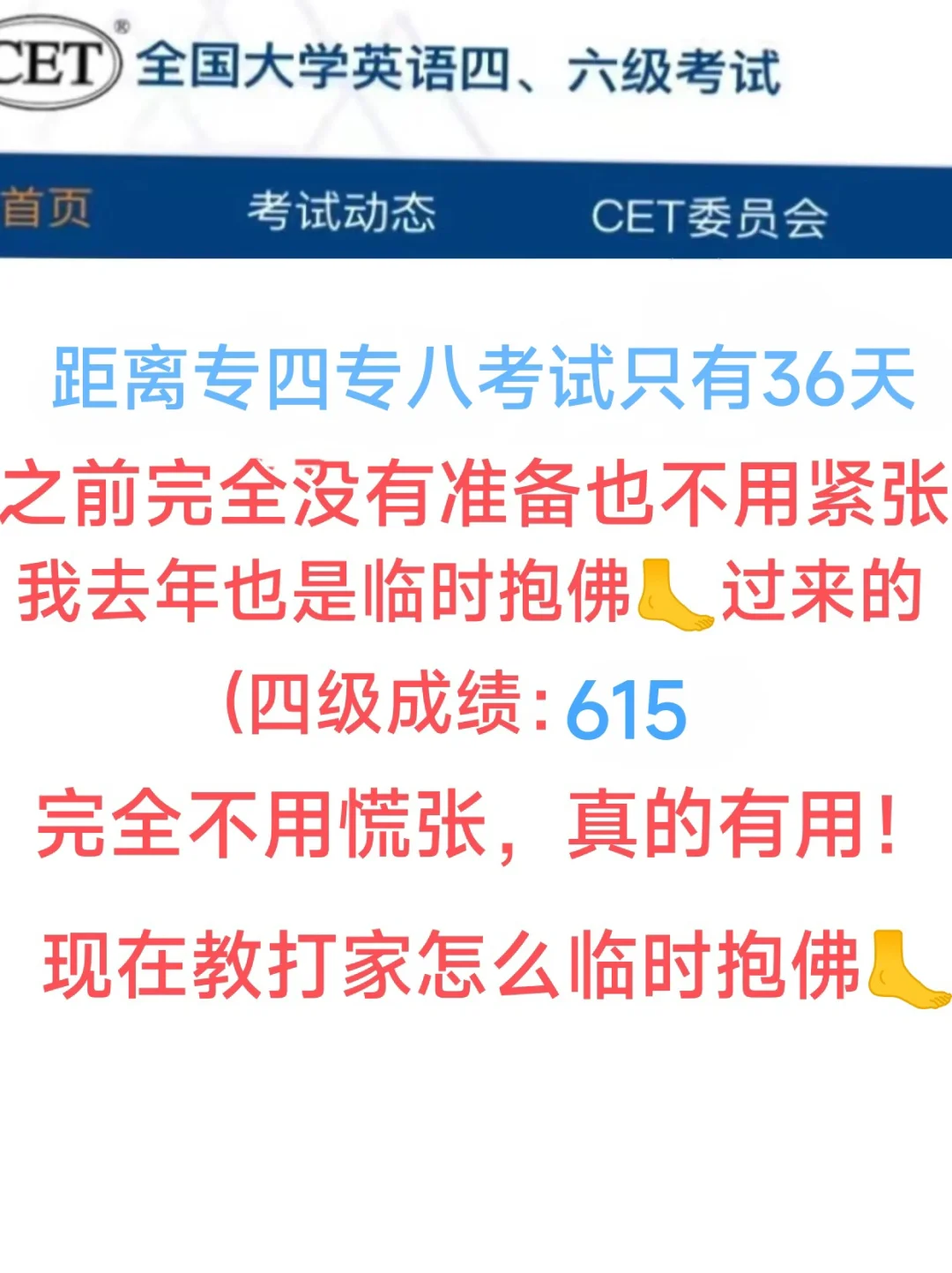 专四专八死磕这个app赢麻了😂
