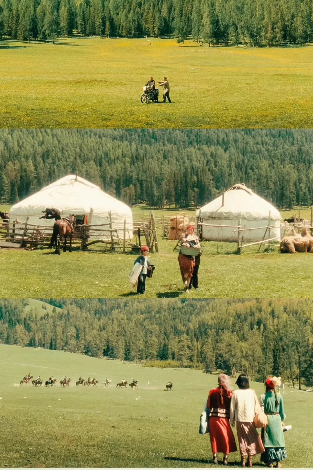 电影质感拉满的阿勒泰‼️每一帧都美的像壁纸