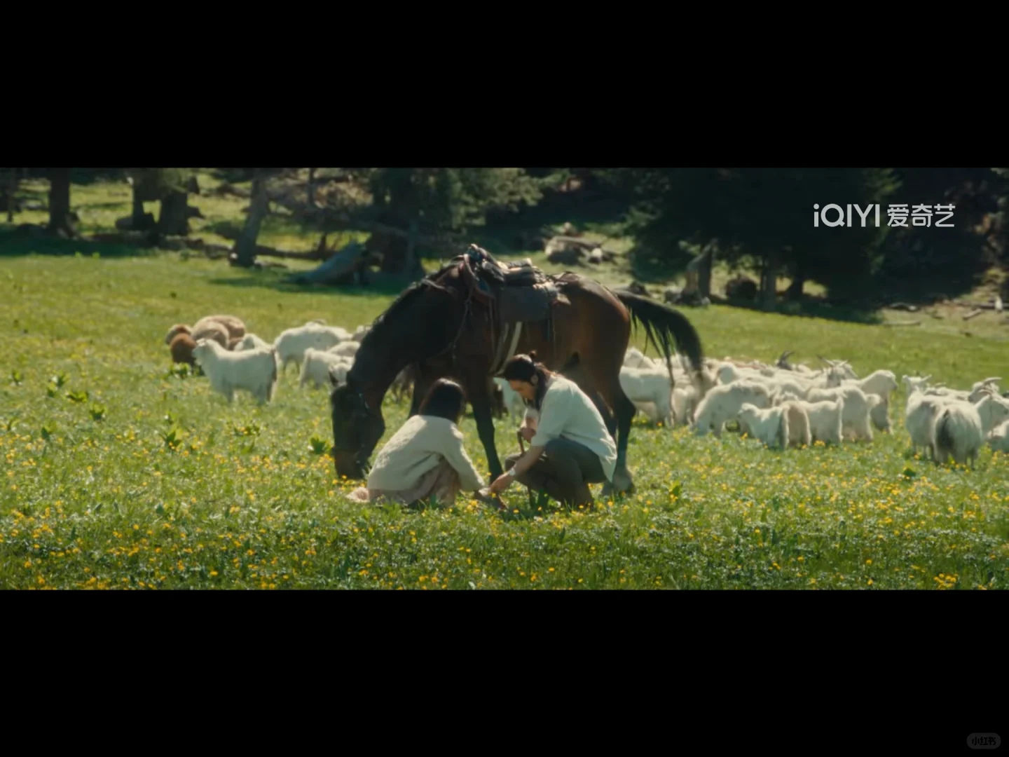 你爱上的男性角色 实质是女作家的灵魂