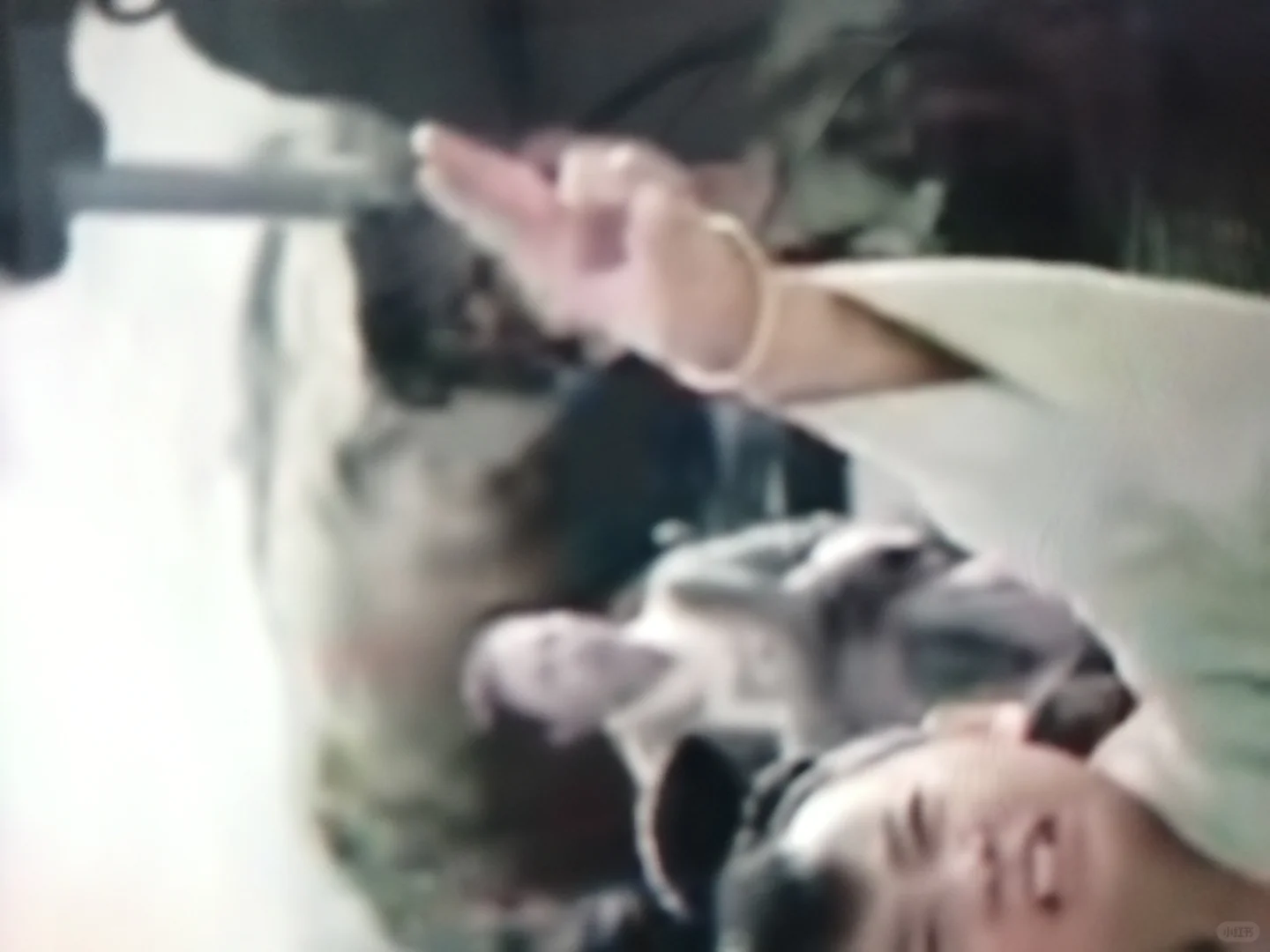 封神电影中朝歌百姓的服饰