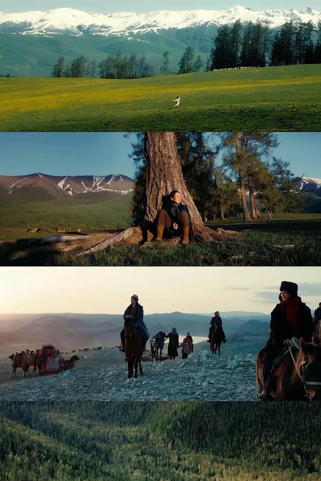 电影质感拉满的阿勒泰‼️每一帧都美的像壁纸