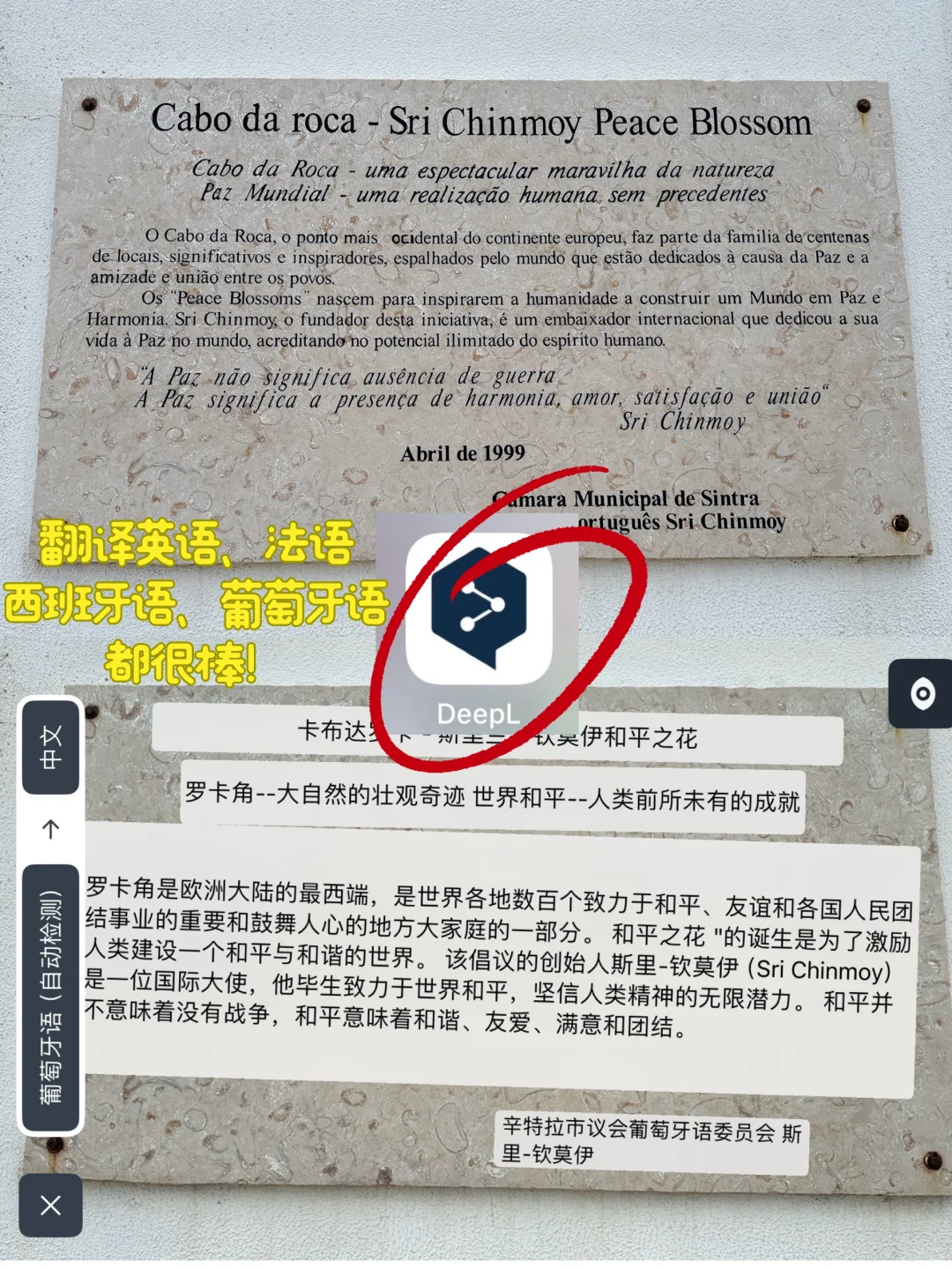 去欧洲|省钱省力,必备这些APP,靠谱❗️❗️