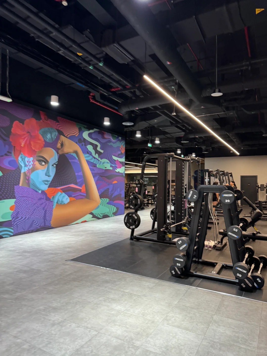 迪拜生活| 健身自由app