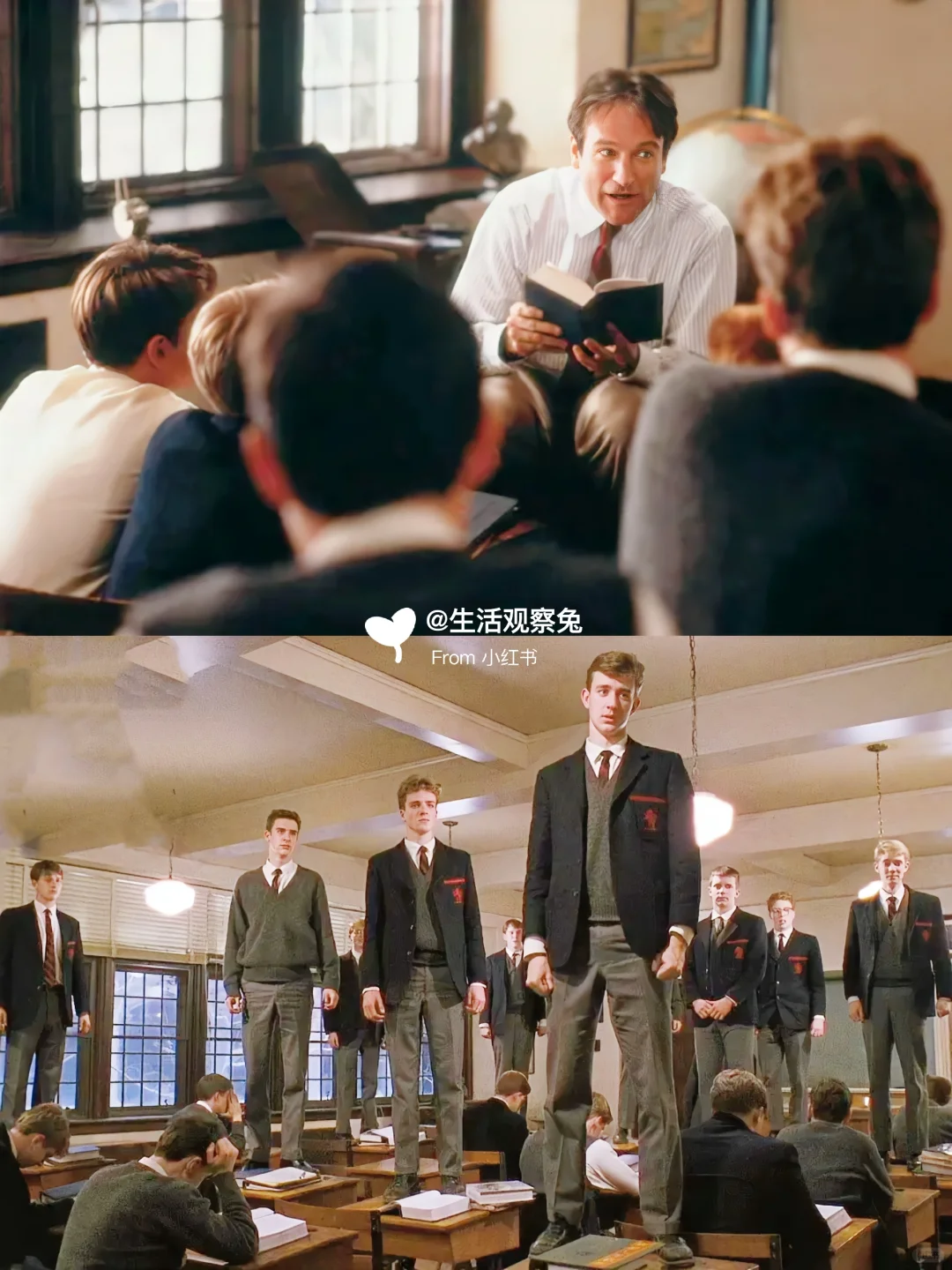 人生必刷的🔟部高分治愈电影🎬给心灵放个假