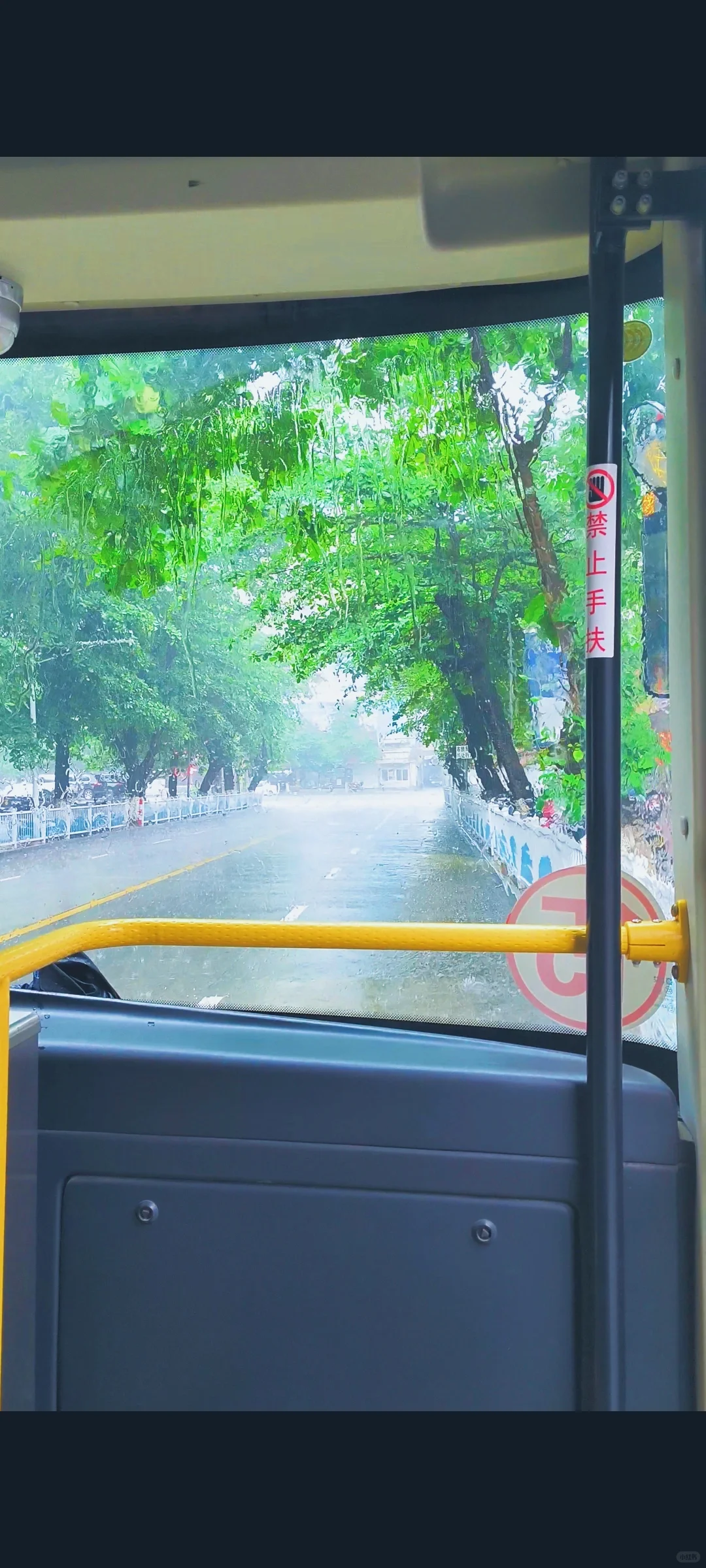 一个人看电影是什么体验