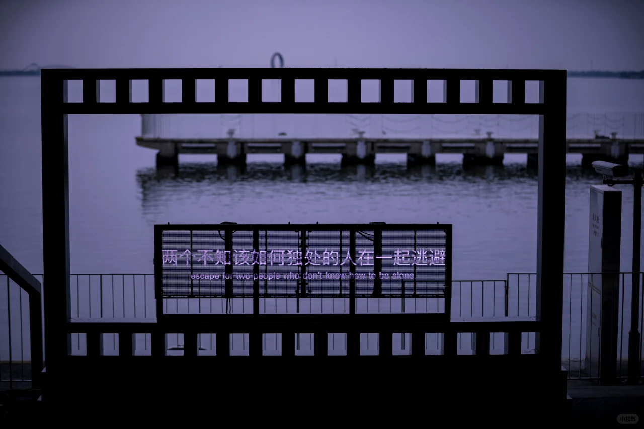 湖畔电影季，滴水生情