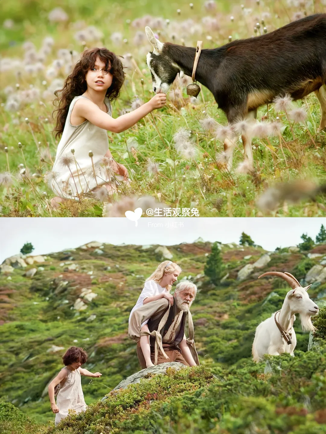 人生必刷的🔟部高分治愈电影🎬给心灵放个假