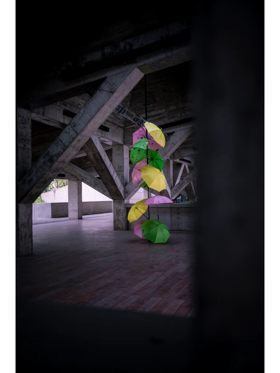 湖畔电影季，滴水生情