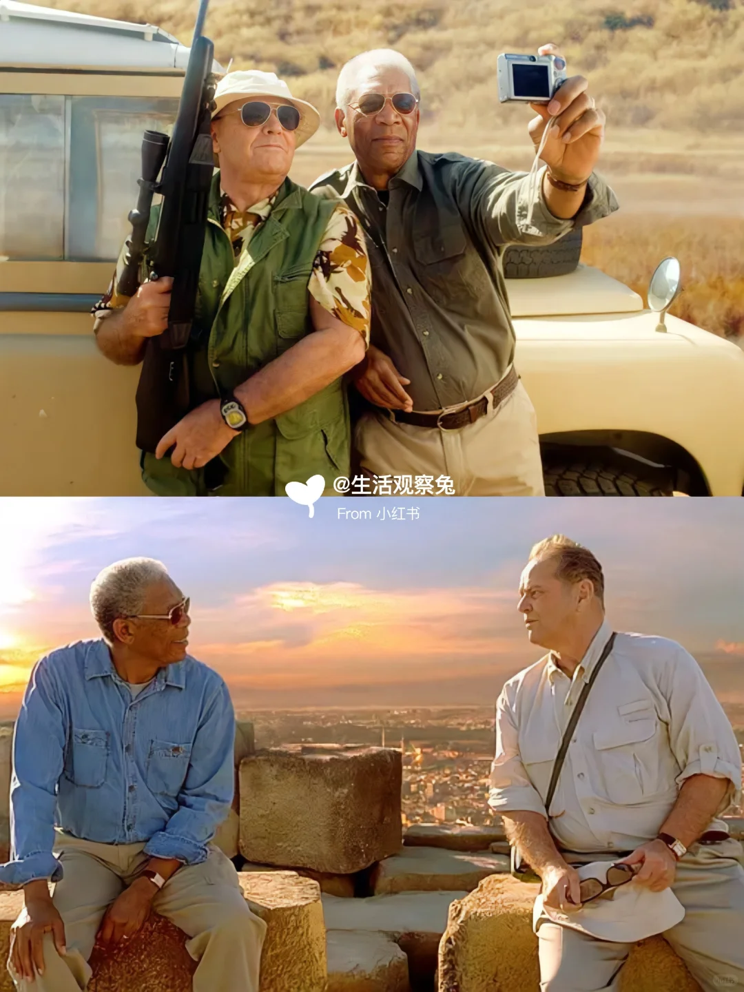 人生必刷的🔟部高分治愈电影🎬给心灵放个假